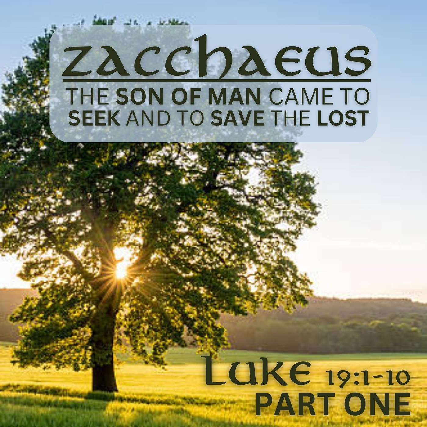 The Son of Man Came to Seek and to Save the Lost, Part 1; Luke 19:1-10