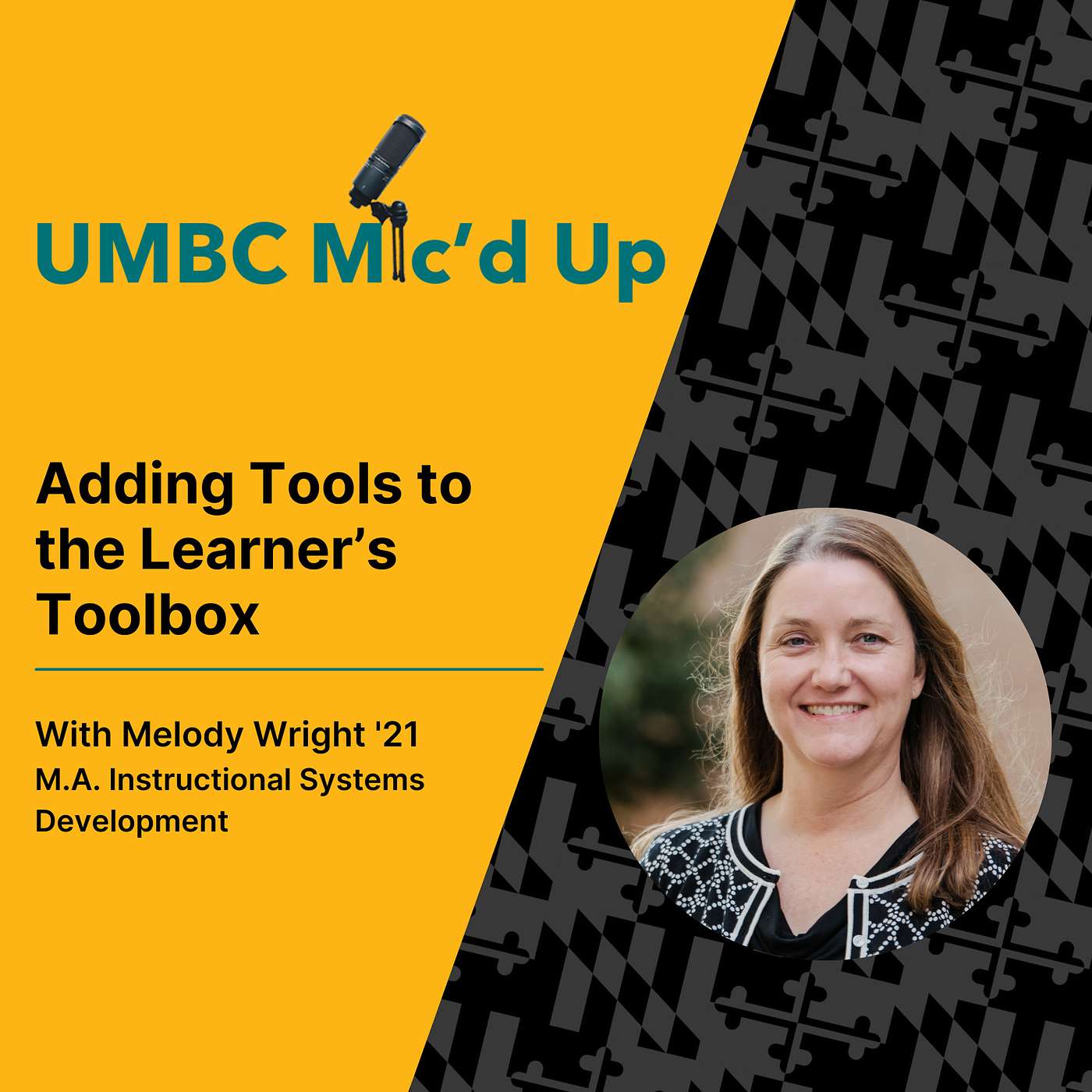 Adding Tools to the Learner's Toolbox episode artwork