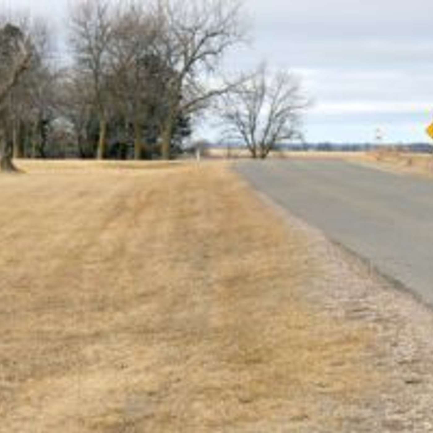 City Council approves $115,000 for trail episode artwork