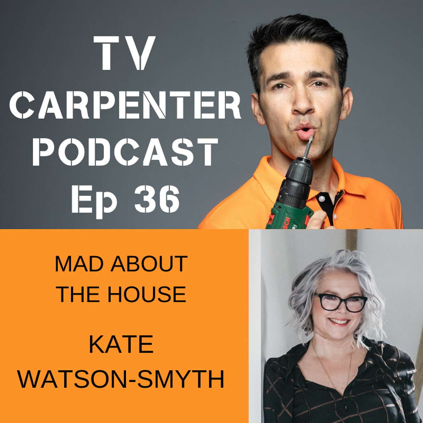 THE TV CARPENTER : Home Makeovers with Wayne Perrey