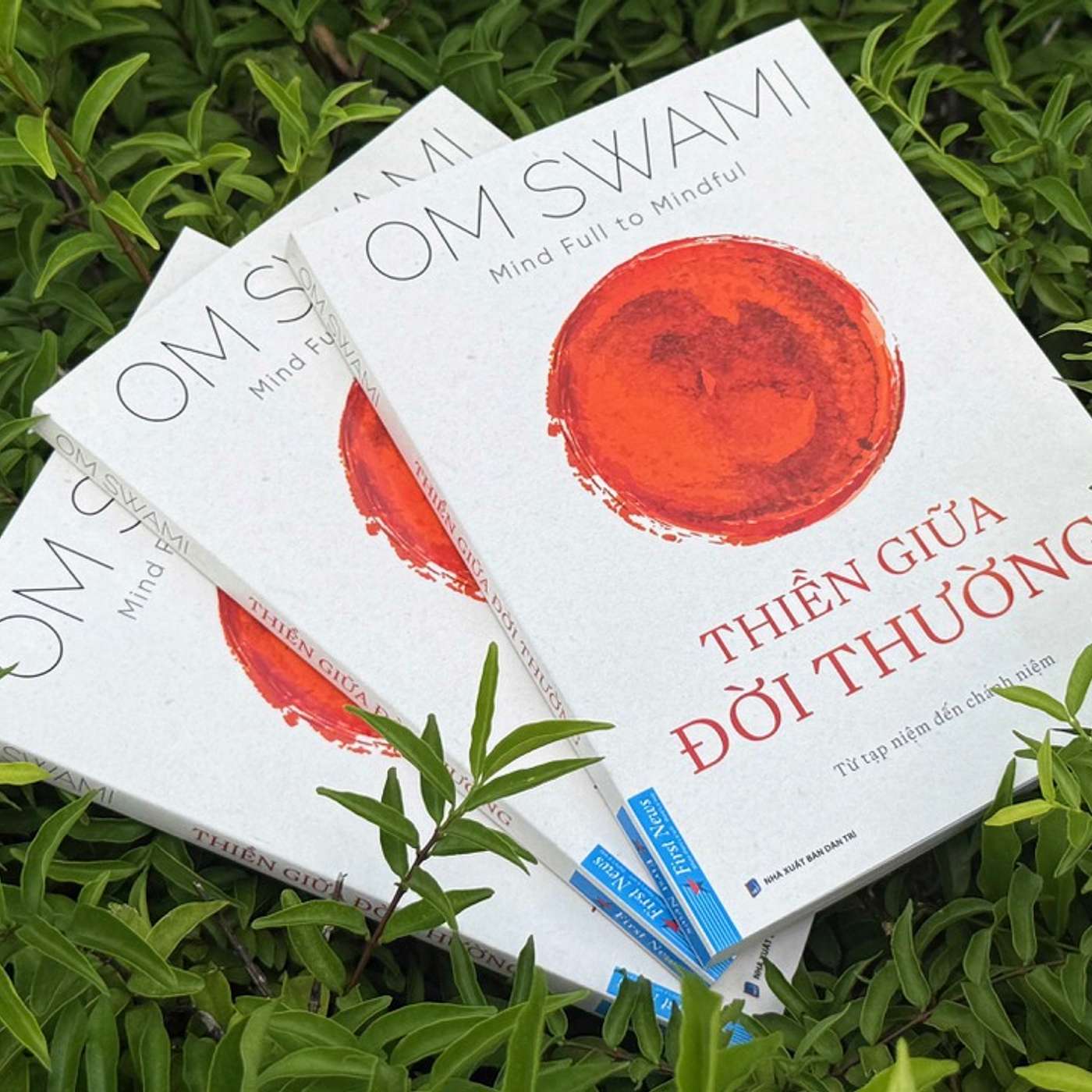 Thiền giữa đời thường episode artwork