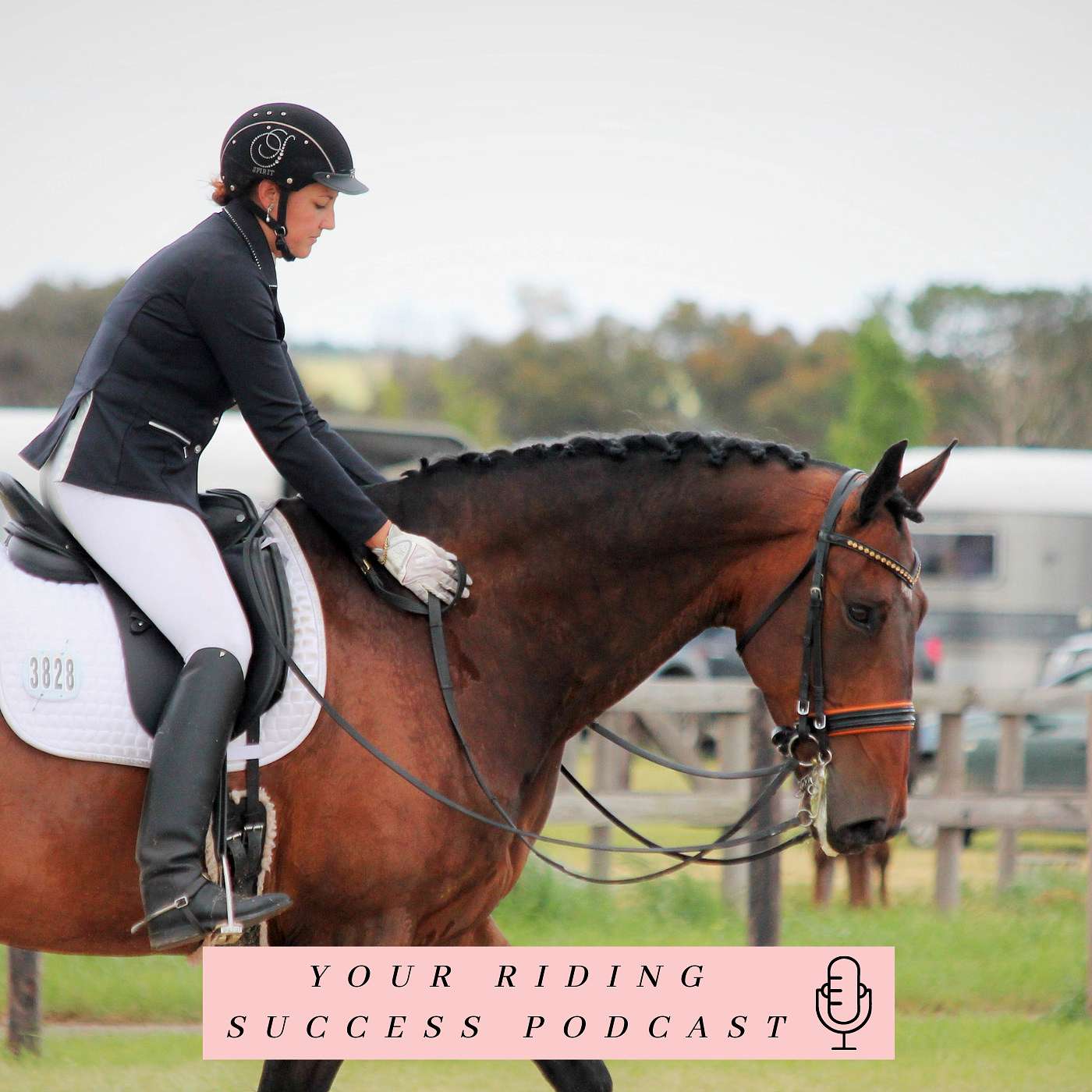 Your Riding Success!!