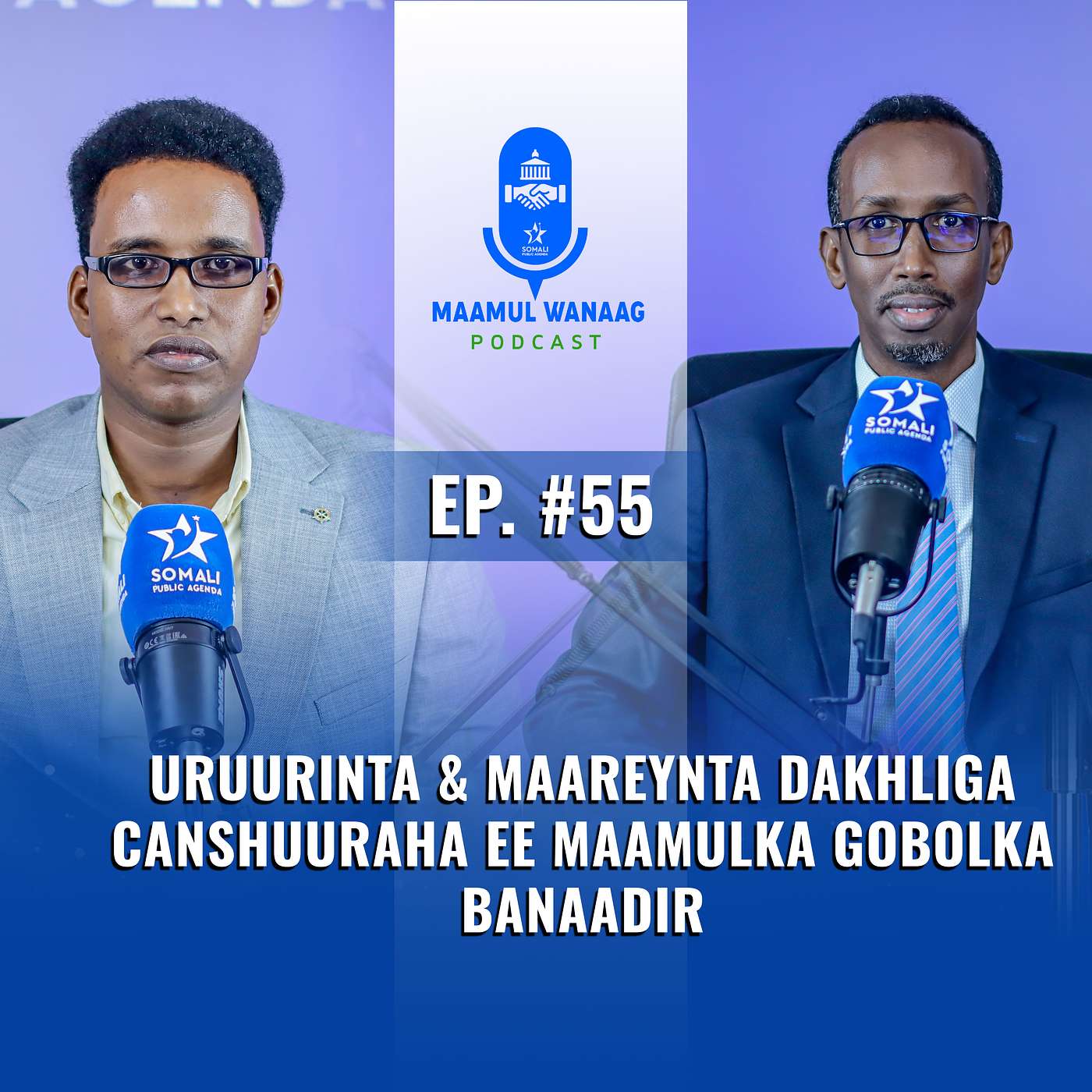 Uruurinta & Maareynta Dakhliga Canshuuraha ee Maamulka Gobolka Banaadir