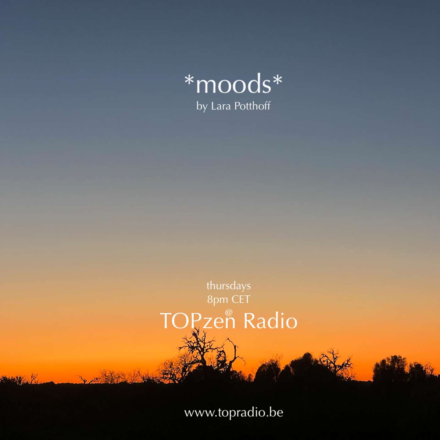Moods by Lara Potthoff