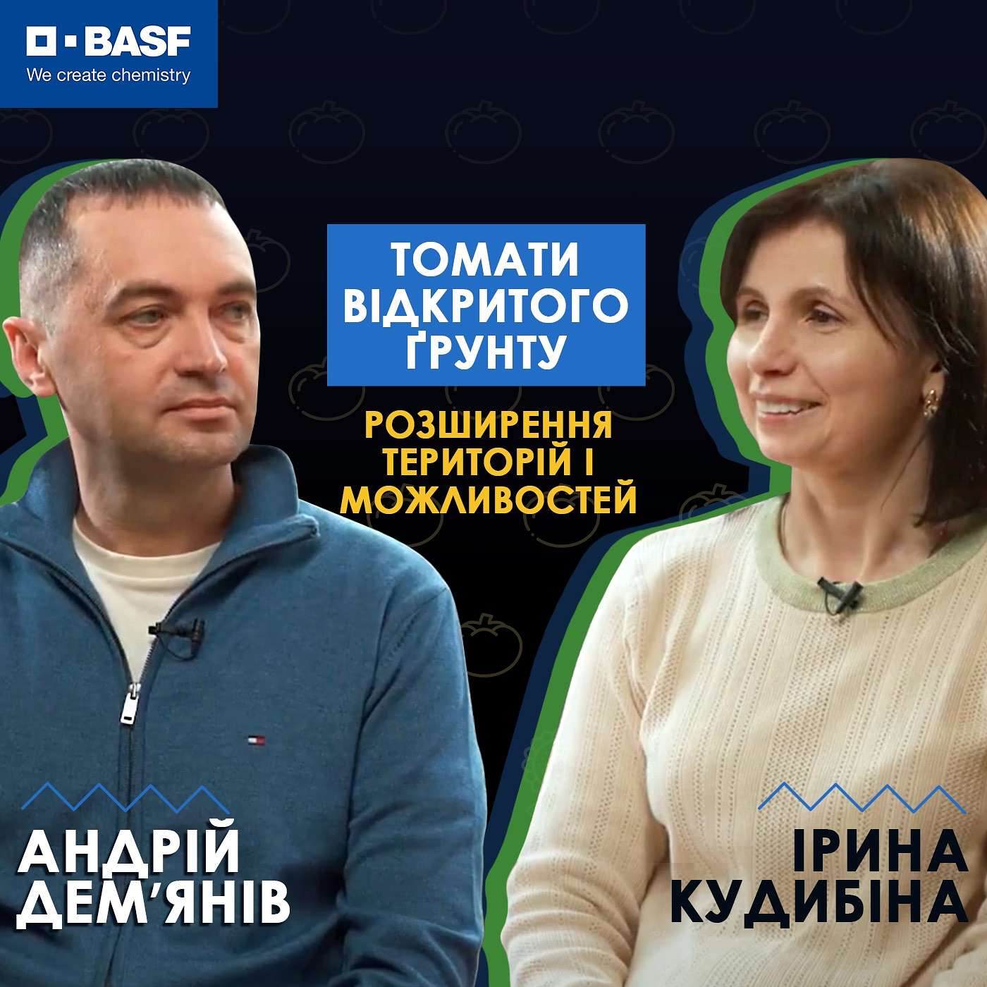 Вирощування томатів у відкритому грунті - розширення територій і можливостей.