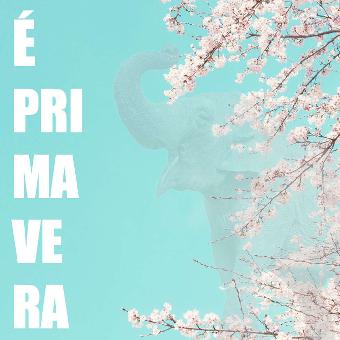 Elefantes na Neblina