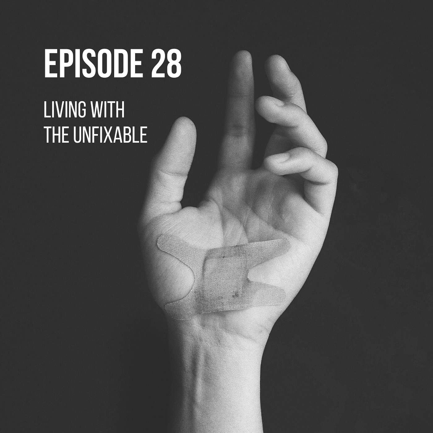 Episode 28 - Living with the Unfixable