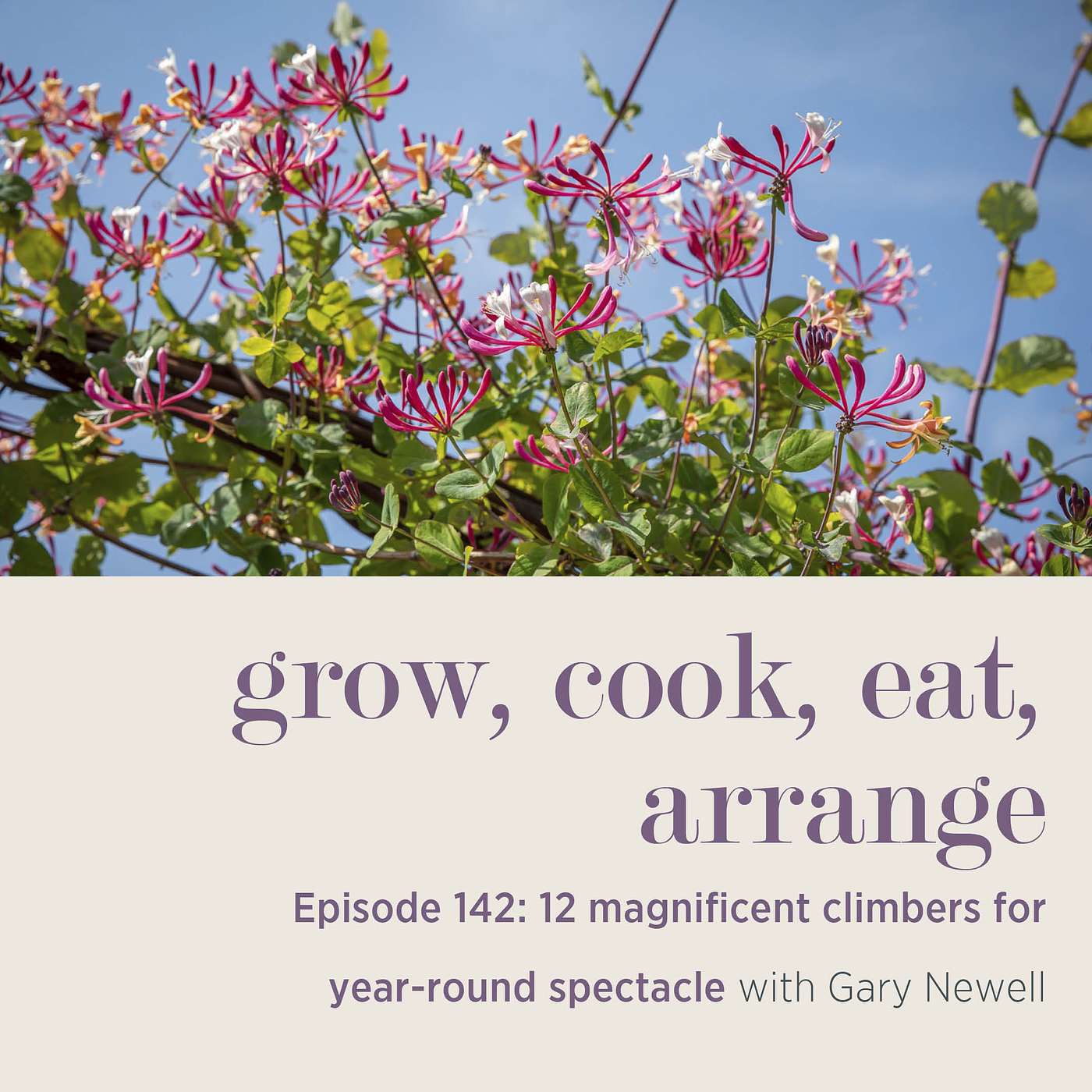 12 Magnificent Climbers for Year-Round Spectacle with Gary Newell - Episode 142