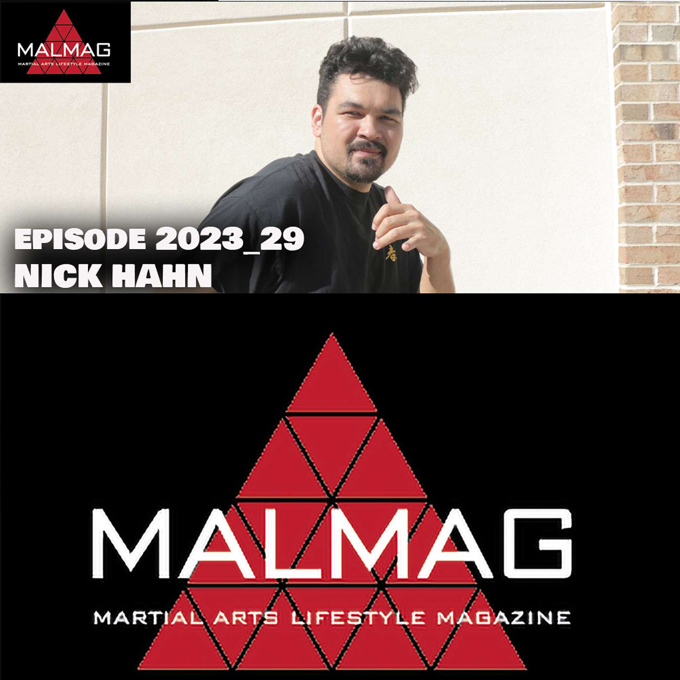 The Martial Arts Lifestyle Podcast