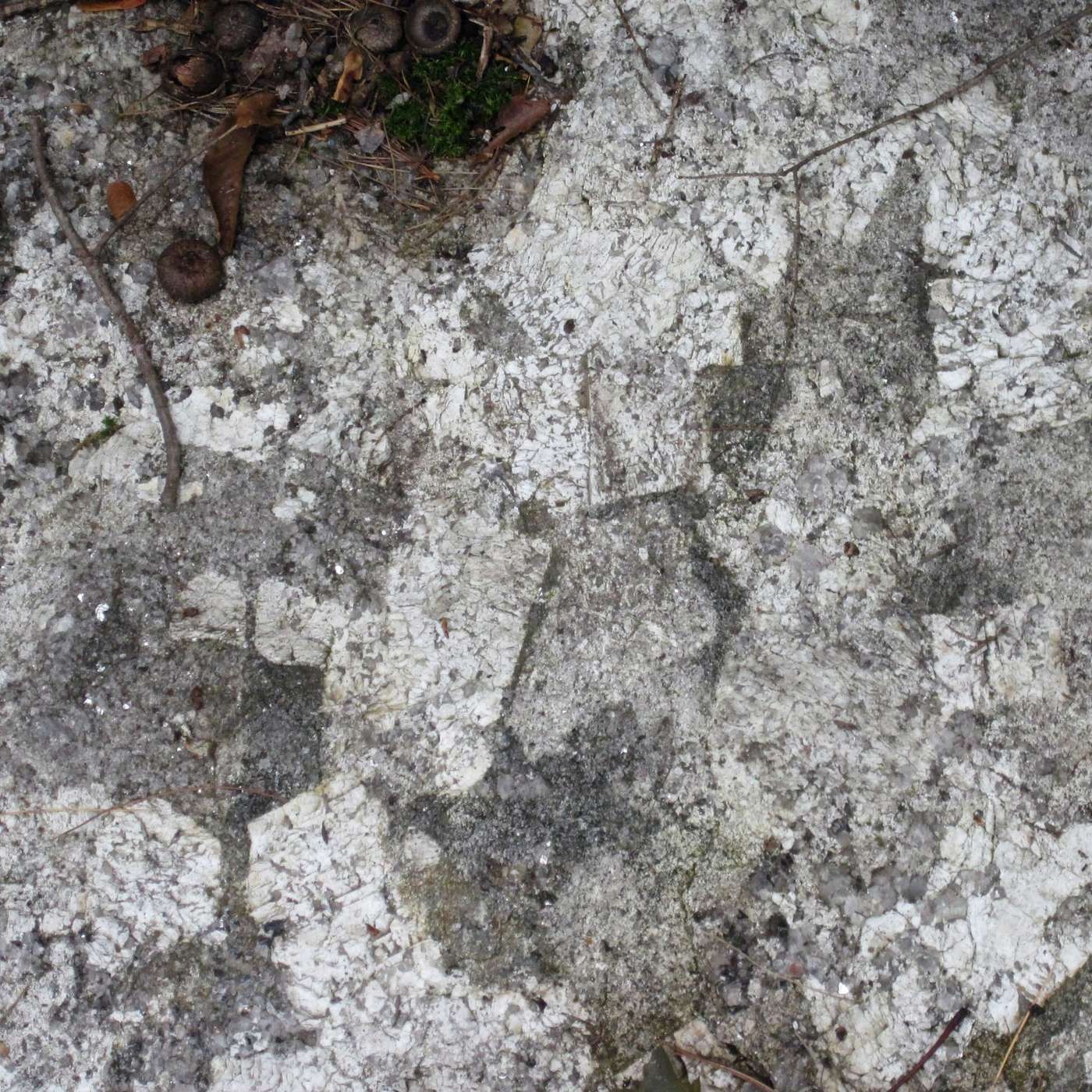 STONE WITCHES