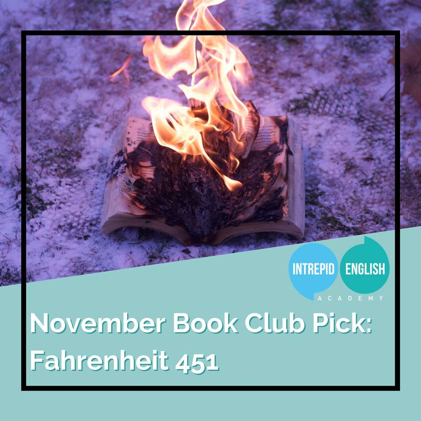 November Book Club Pick: Fahrenheit 451 📚🔥
