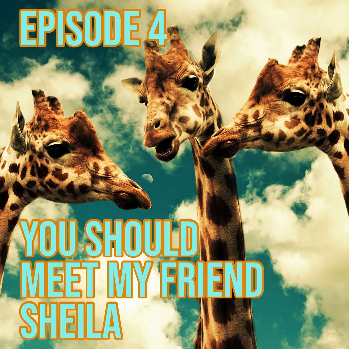 Episode 4: You Should Meet My Friend Sheila episode artwork
