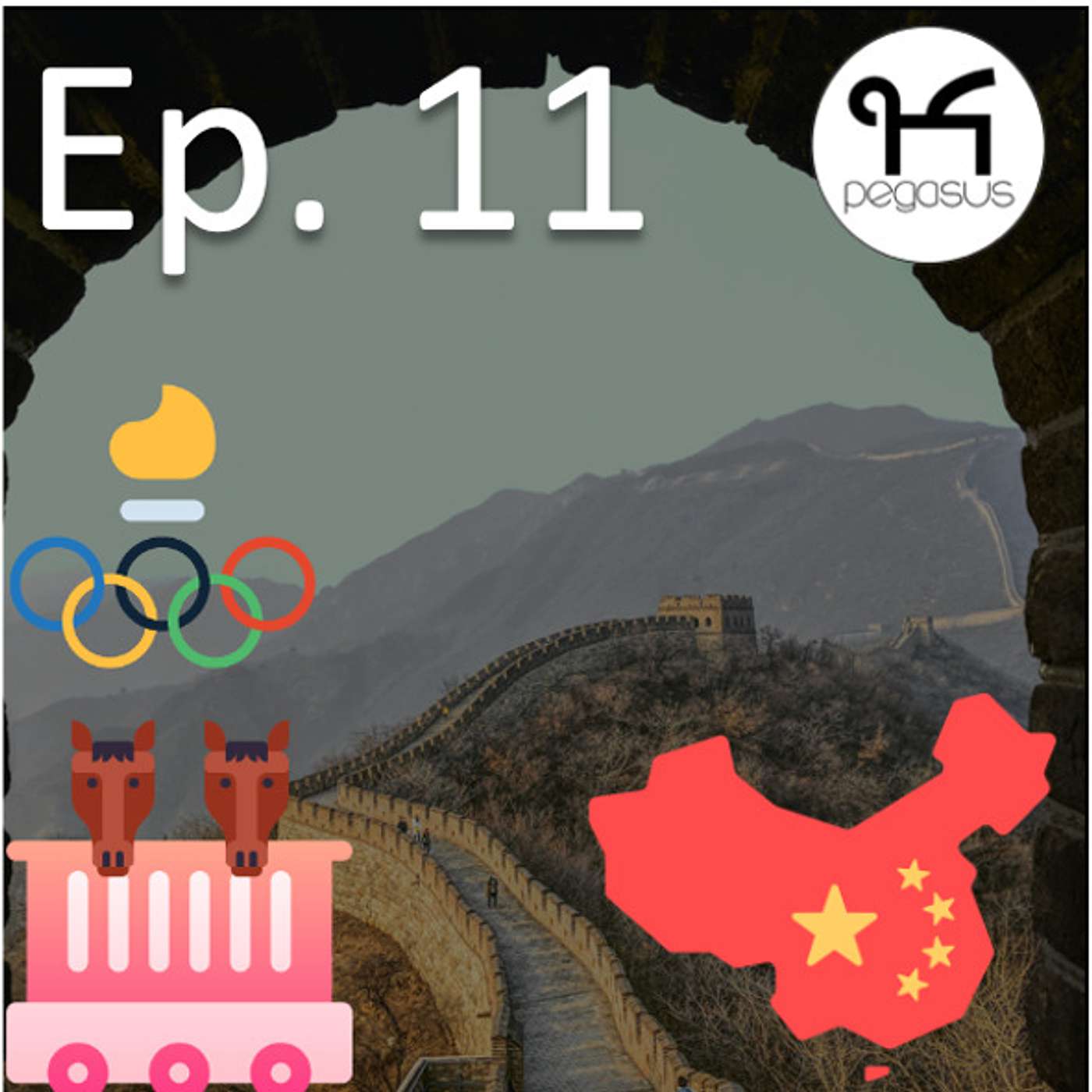 NEWS 🇨🇳 China's horse market is booming! 🛩 Horse air travel explained 🥇 Olympic athlete profiles.