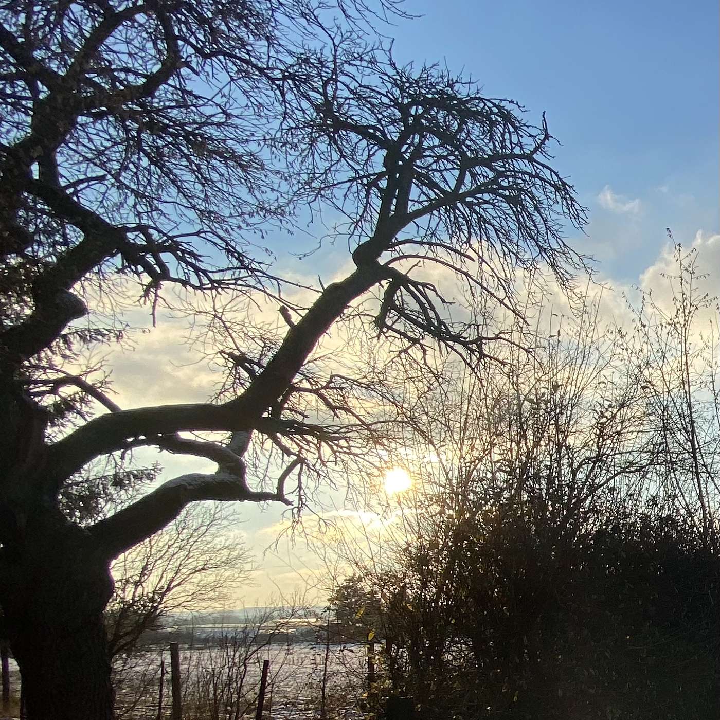 Two birds, two sisters, two daughters, and  a lake (4):- From the Beech Tree episode artwork