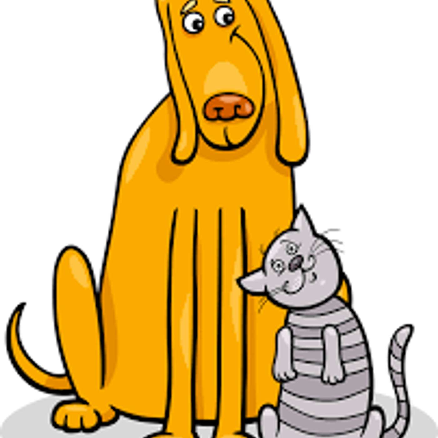 Amici per il pelo, il mondo degli animali visto e raccontato da una veterinaria