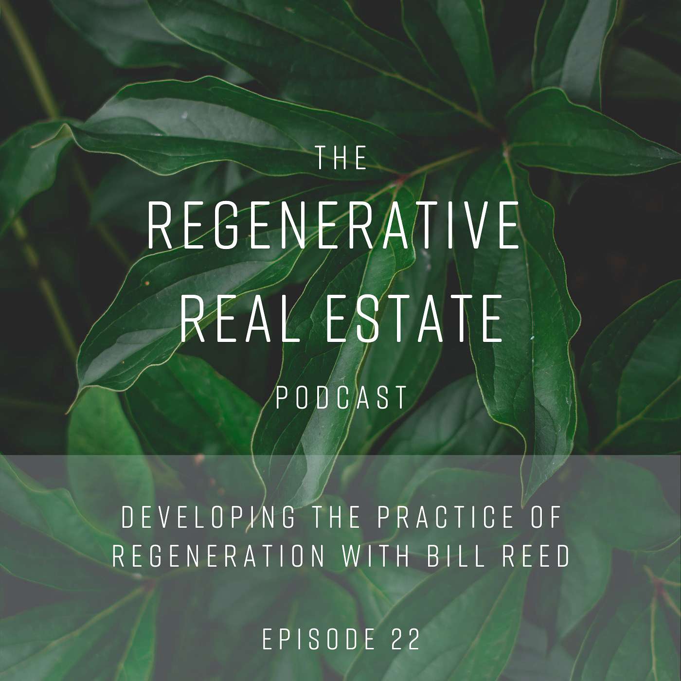 Developing the practice of regeneration with Bill Reed - podcast episode cover