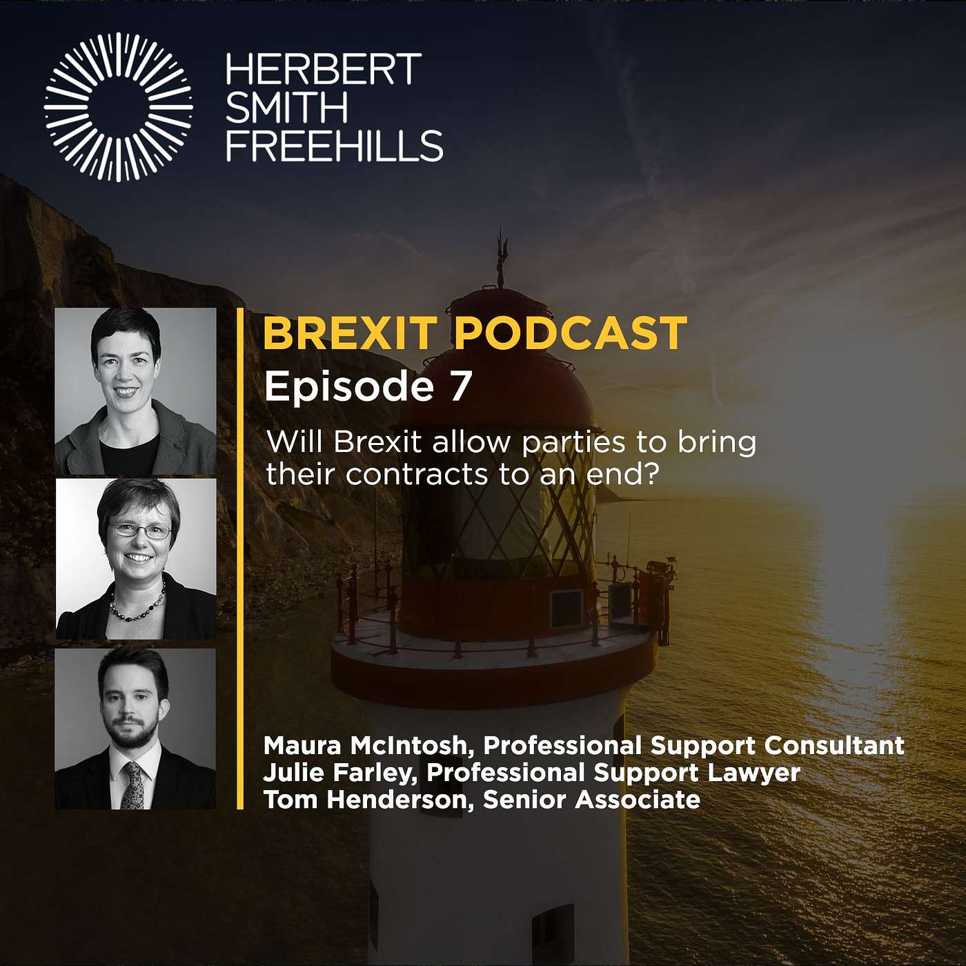 Brexit EP7: Will Brexit allow parties to bring their contracts to an end? episode artwork