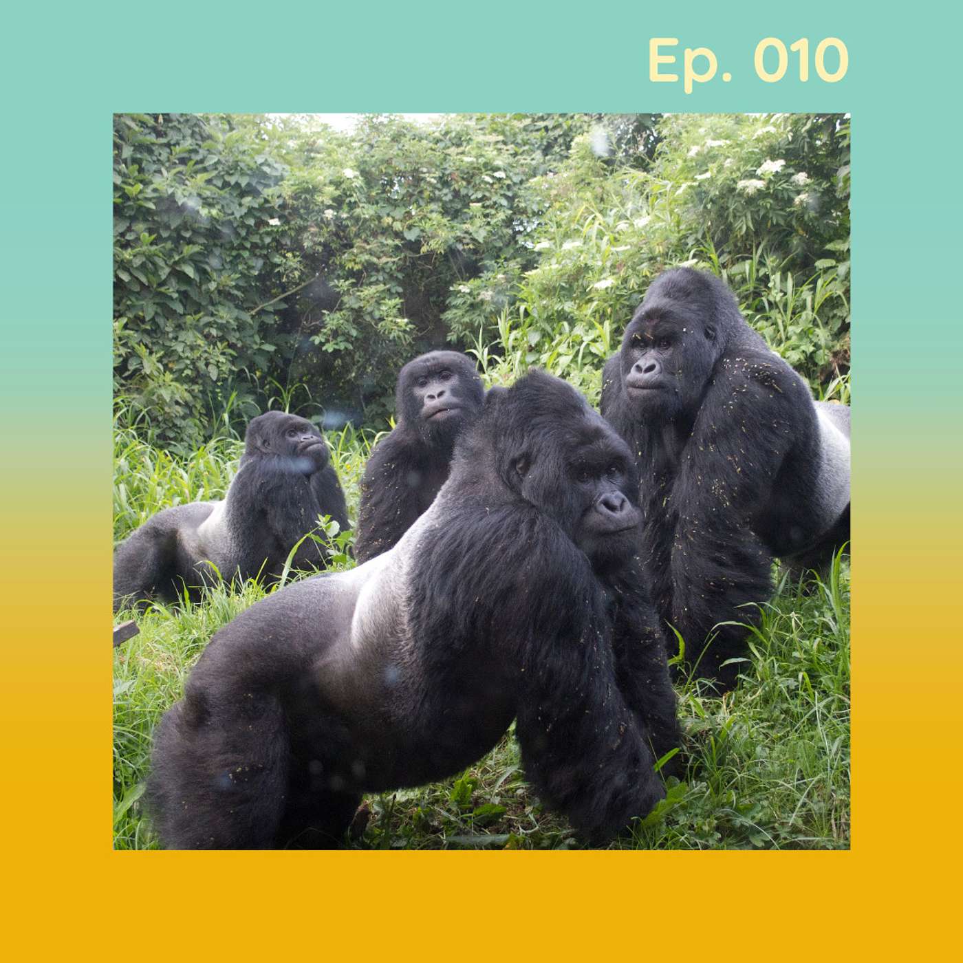 Two Chicks and a Hoe