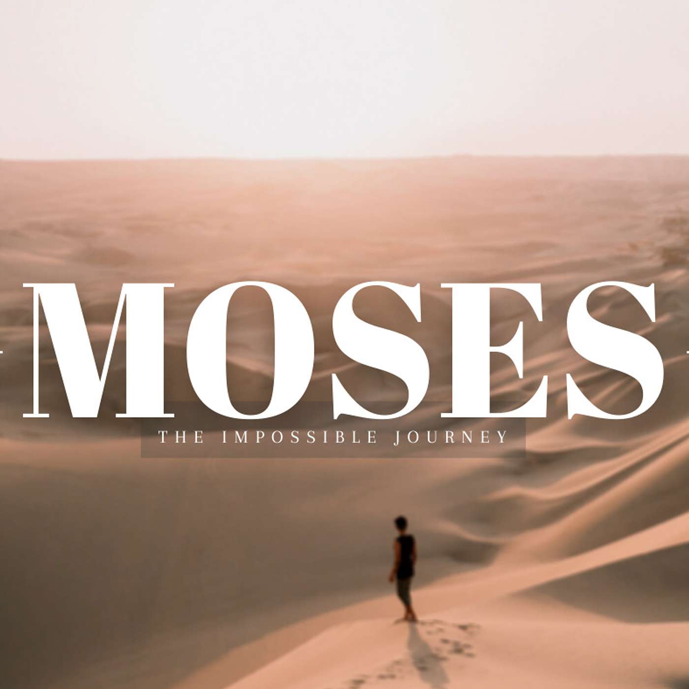 Moses: The Impossible Journey Series - Is God With us at All?