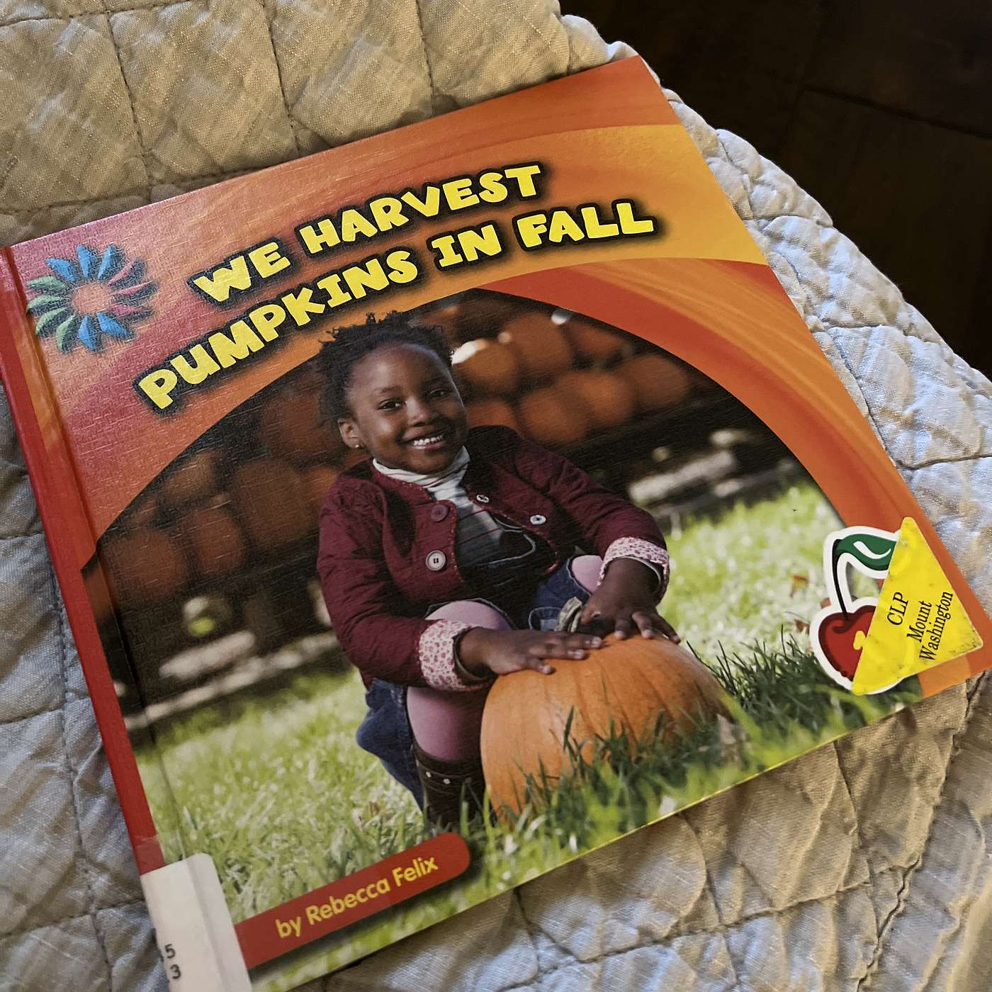 We Harvest Pumpkins in Fall episode artwork