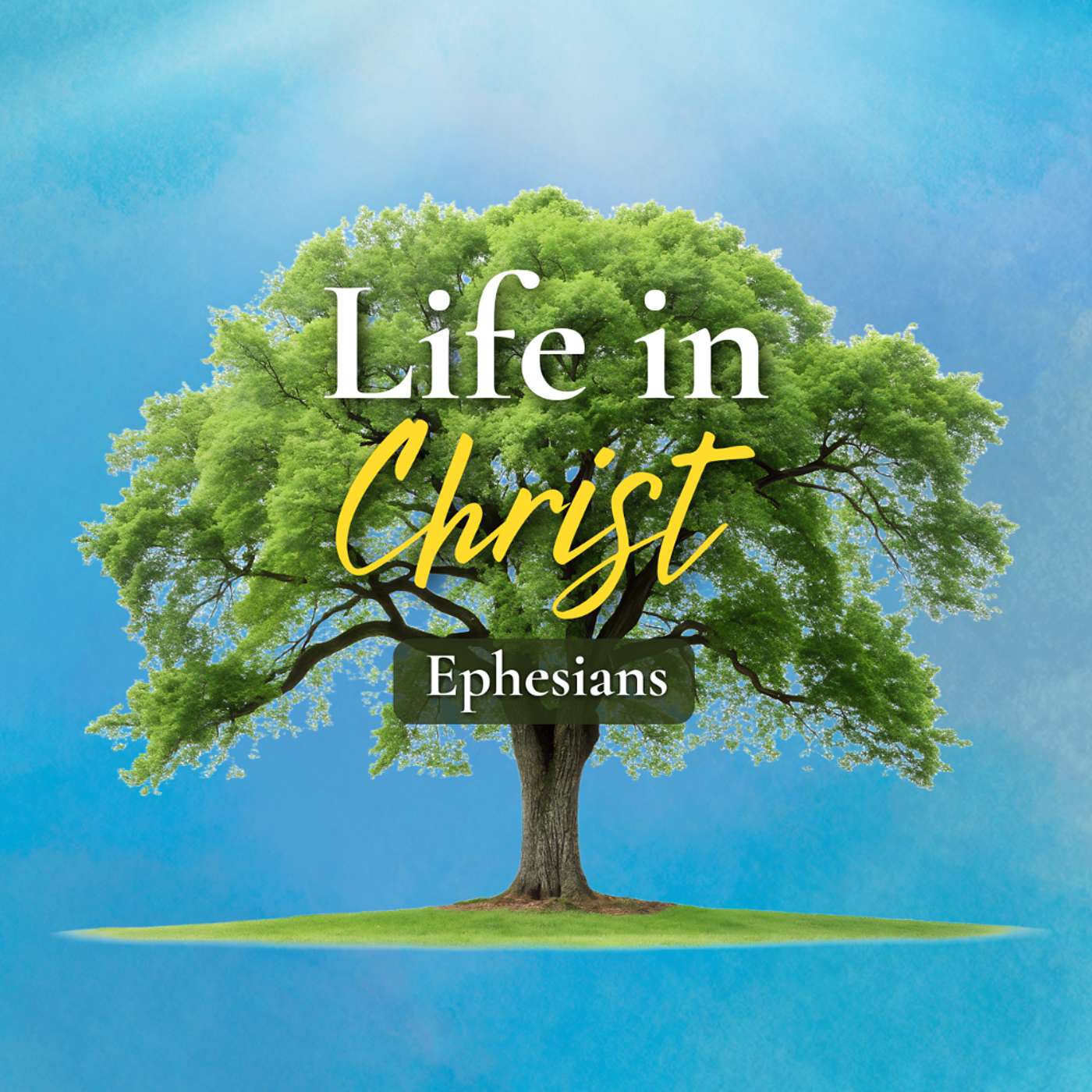 August 16, 2026 | Building The Body Of Christ – Part 1