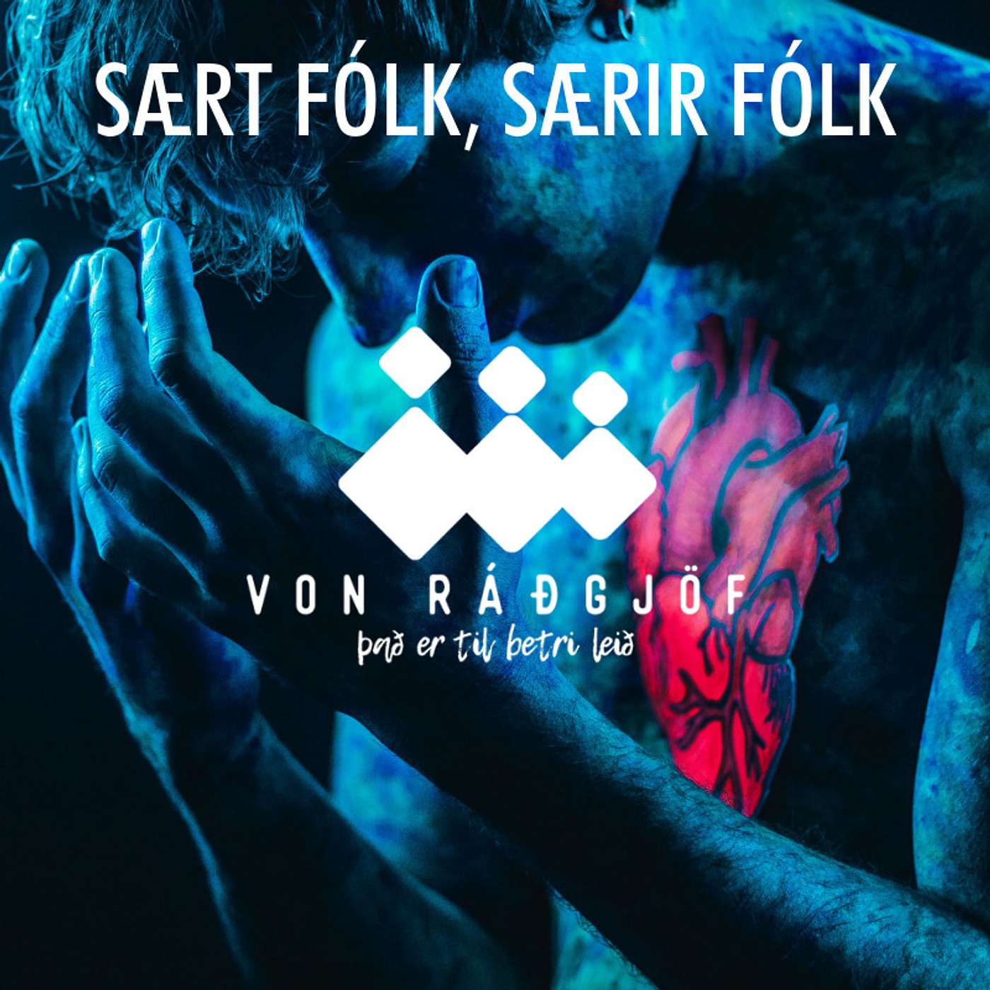 Von Ráðgjöf - Lausnin Hlaðvarp