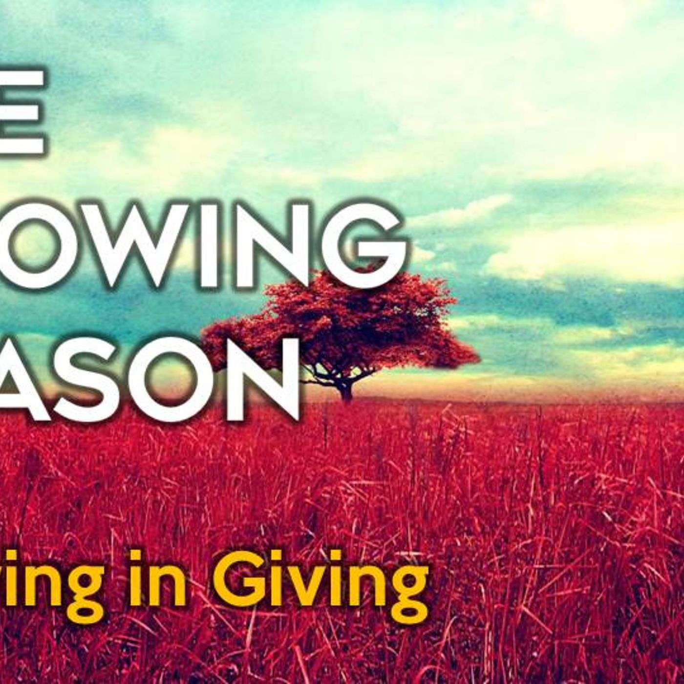 Growing in Giving