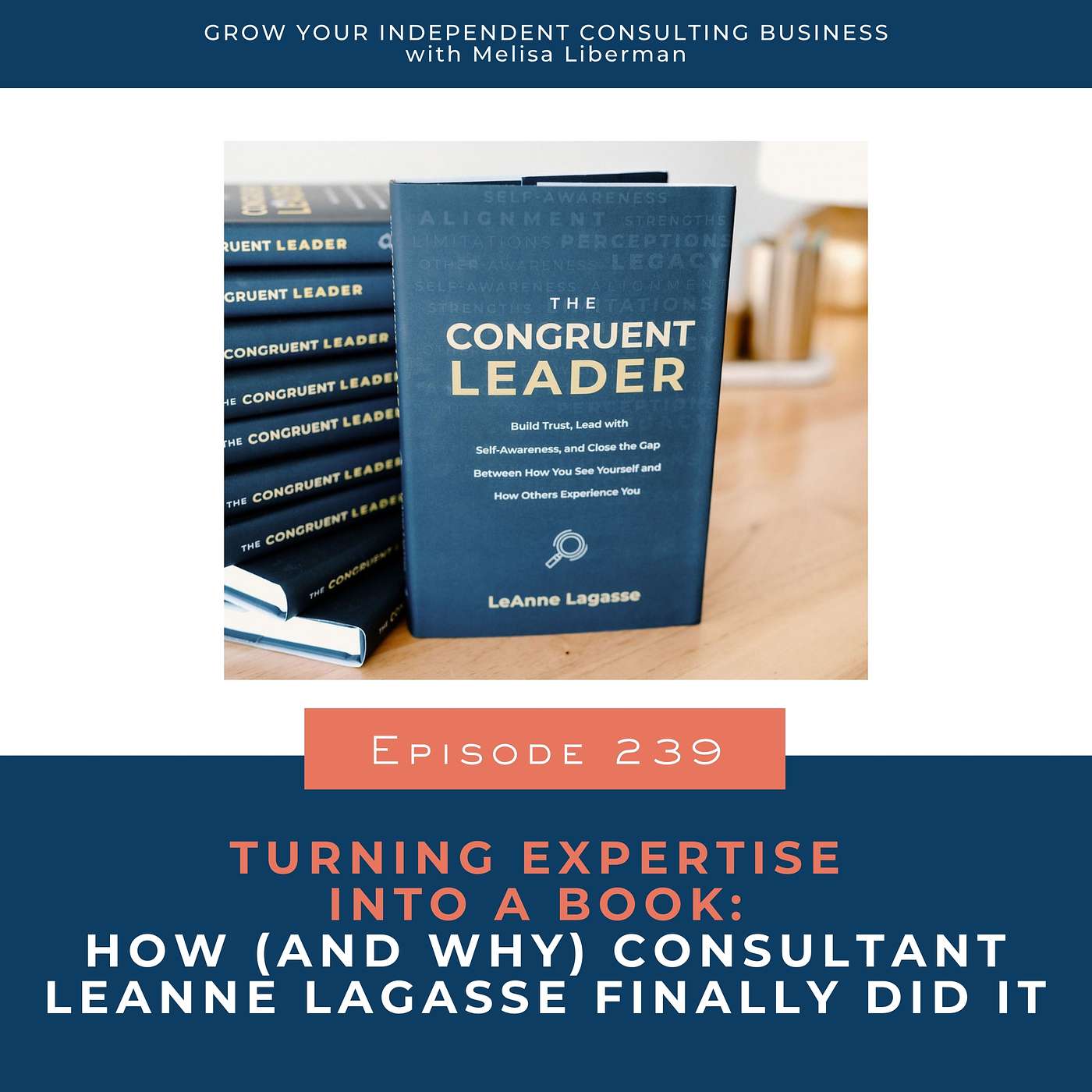 239. Turning Expertise into a Book: How (and Why) Consultant LeAnne Lagasse Finally Did It 239. Turning Expertise into a Book: How (and Why) Consultant LeAnne Lagasse Finally Did It