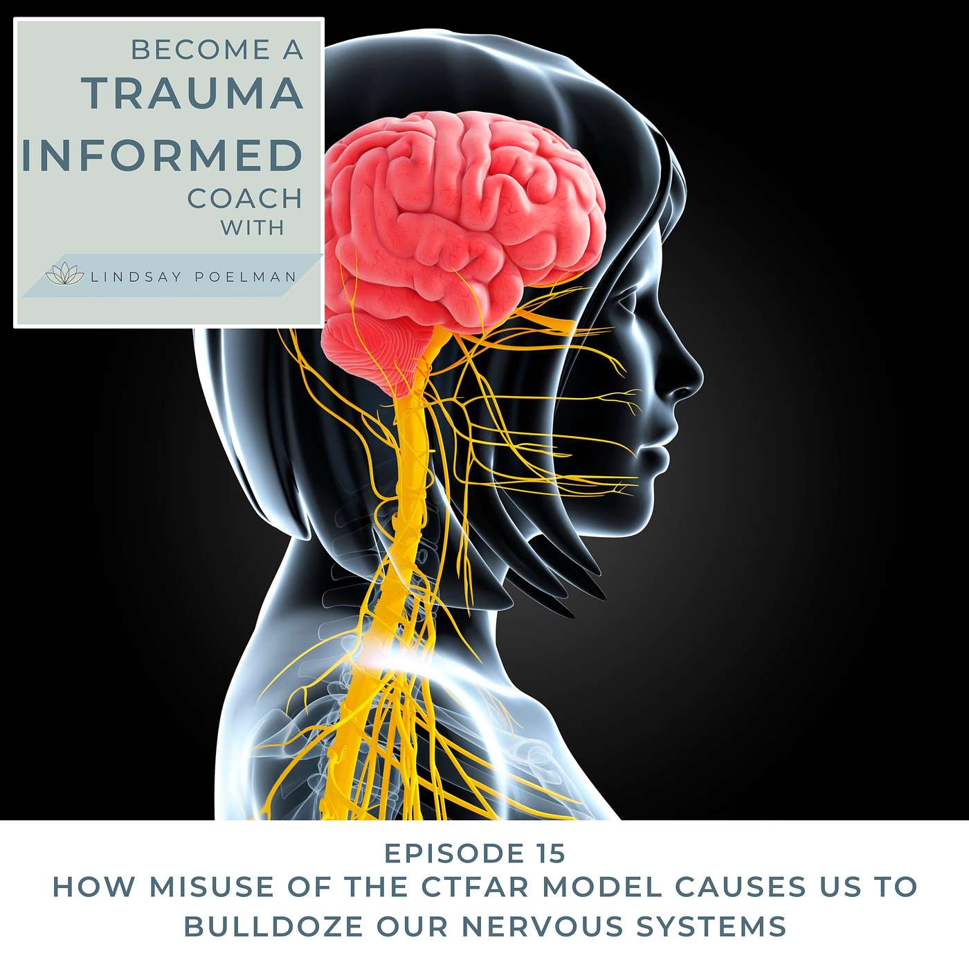 Become A Trauma Informed Coach