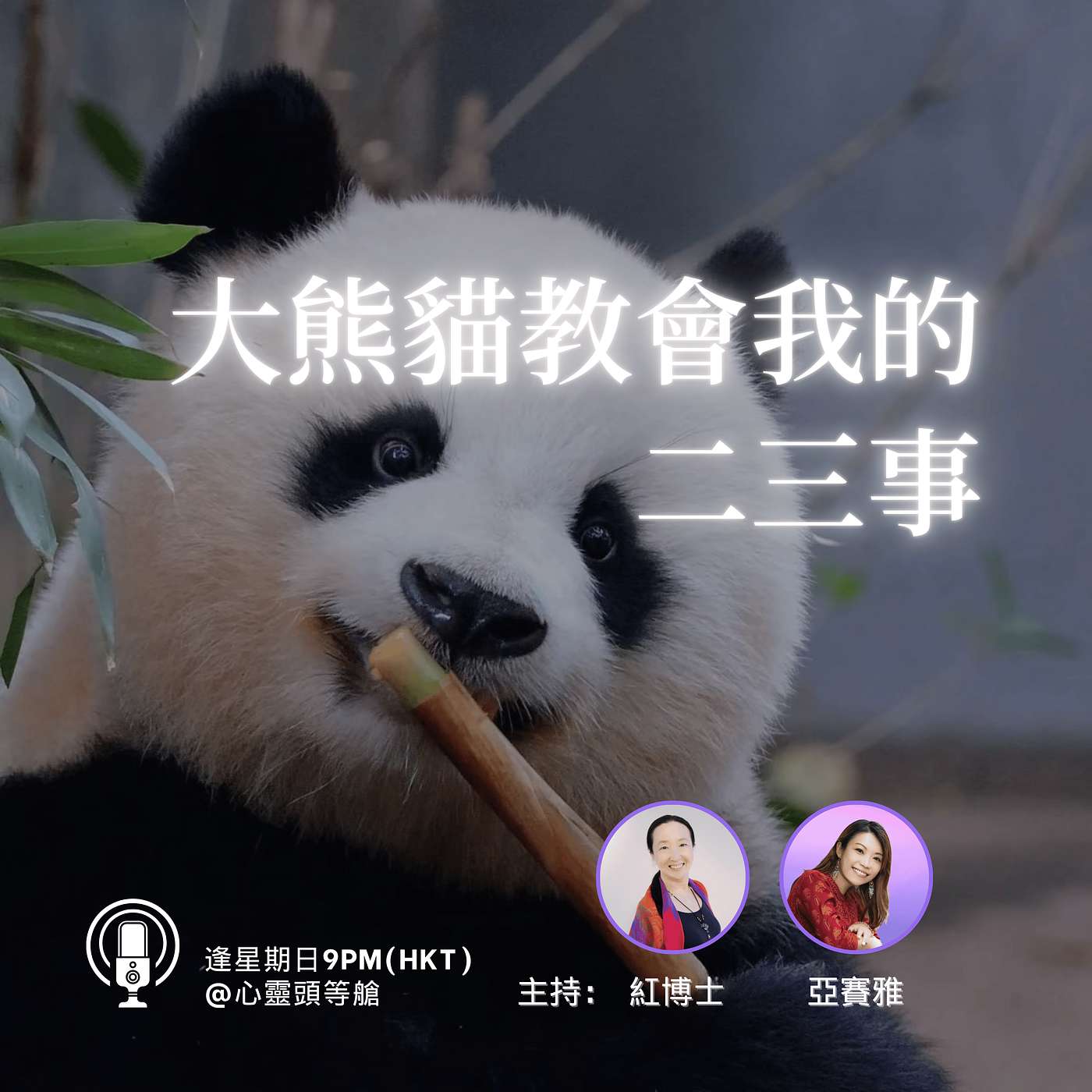 Ep.114 大熊貓教會我的二三事 Ep.114 大熊貓教會我的二三事