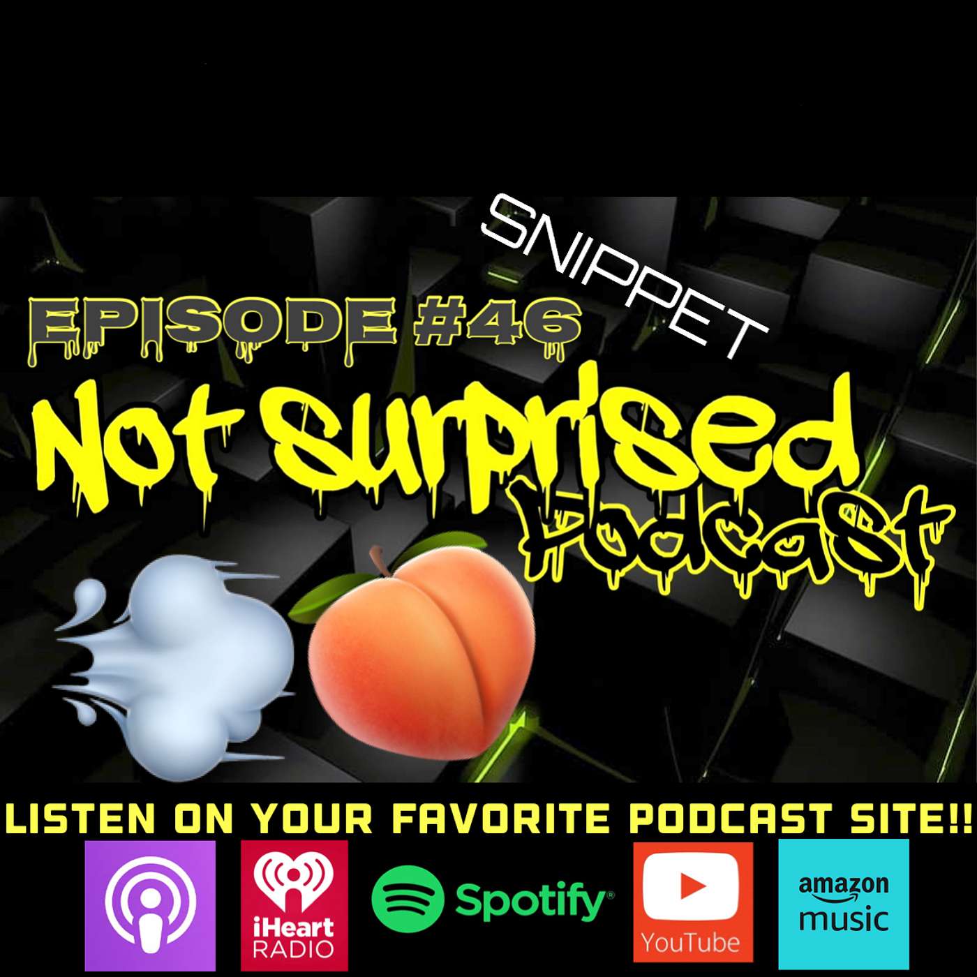 Not Surprised Podcast