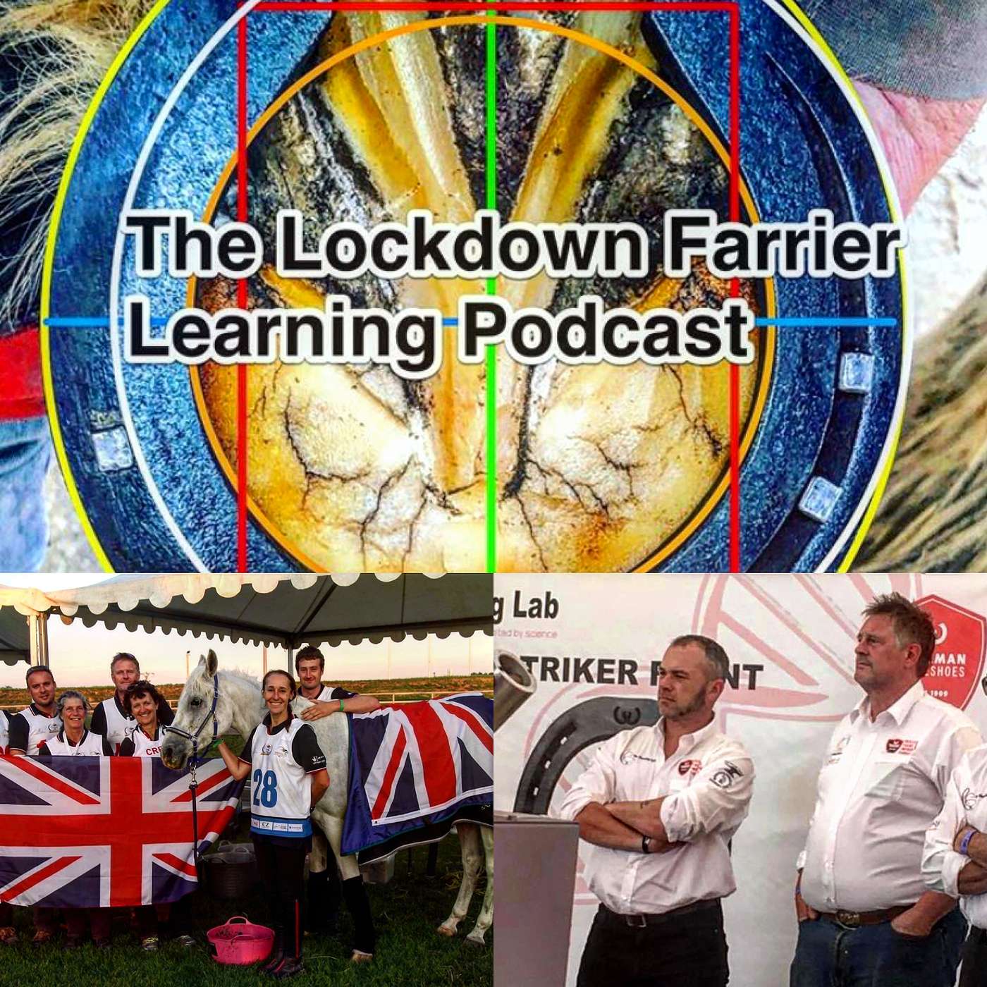 Episode 16 Shoeing Endurance Horses Kelvin Lymer DipWCF