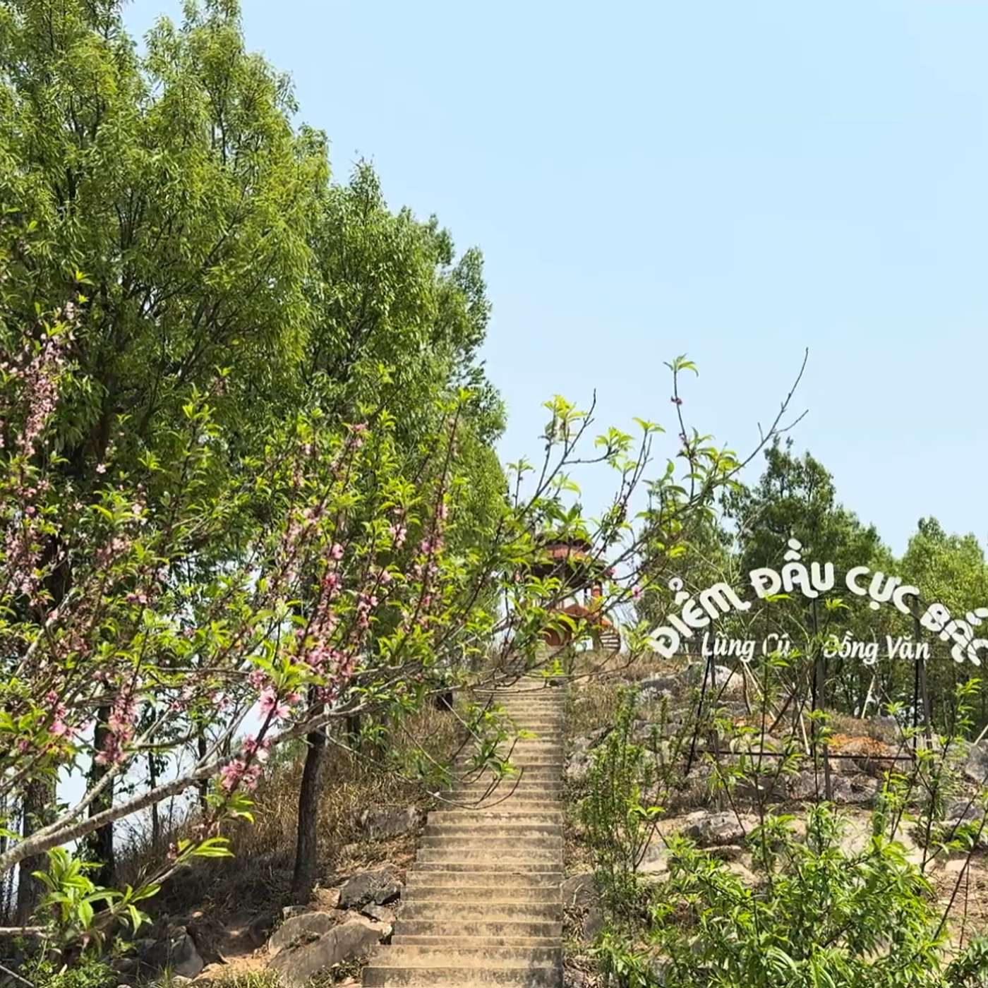 Tập 121: Cách chọn sách tinh hoa để đọc episode artwork