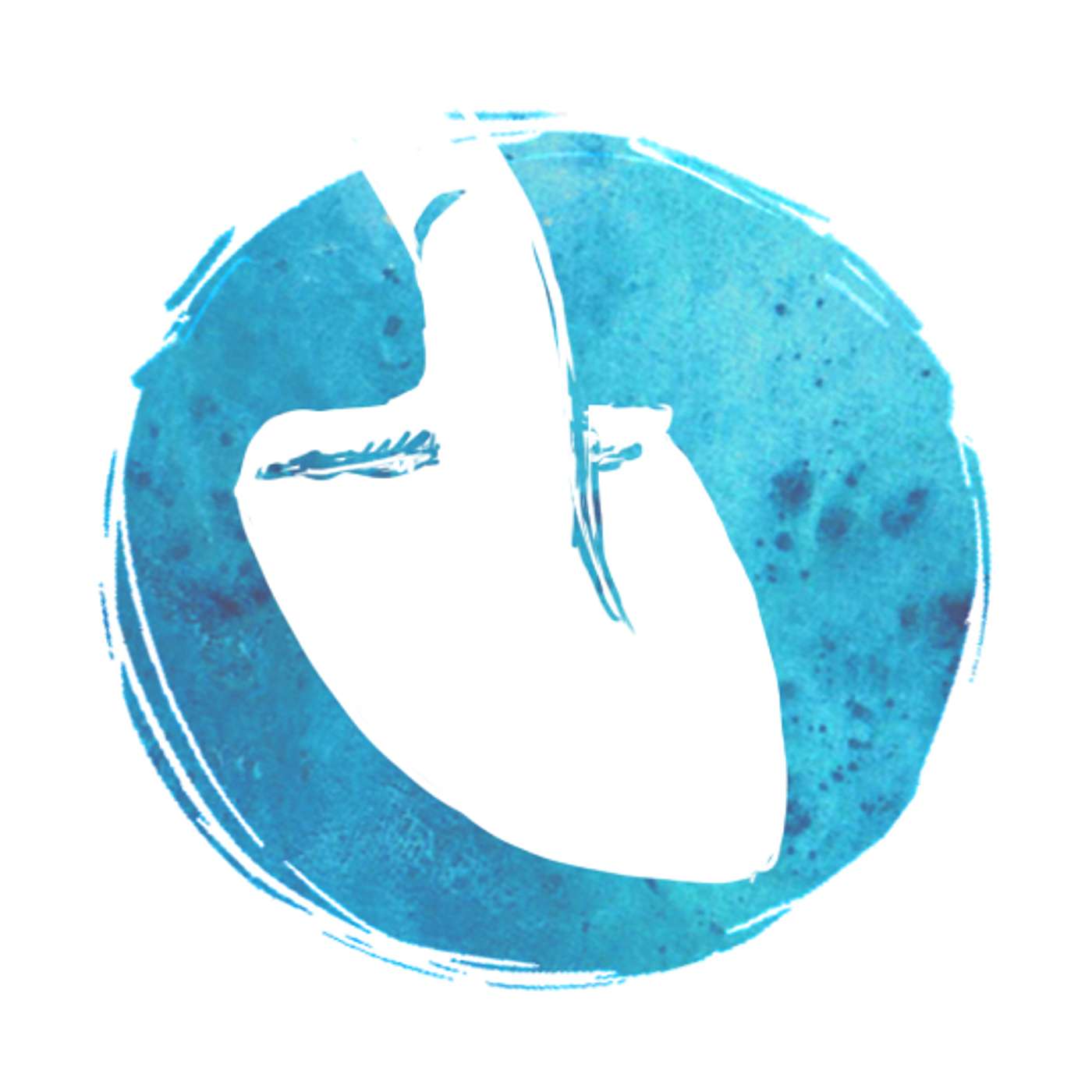 54 Degrees North - Podcast series about issues around Northwest BC