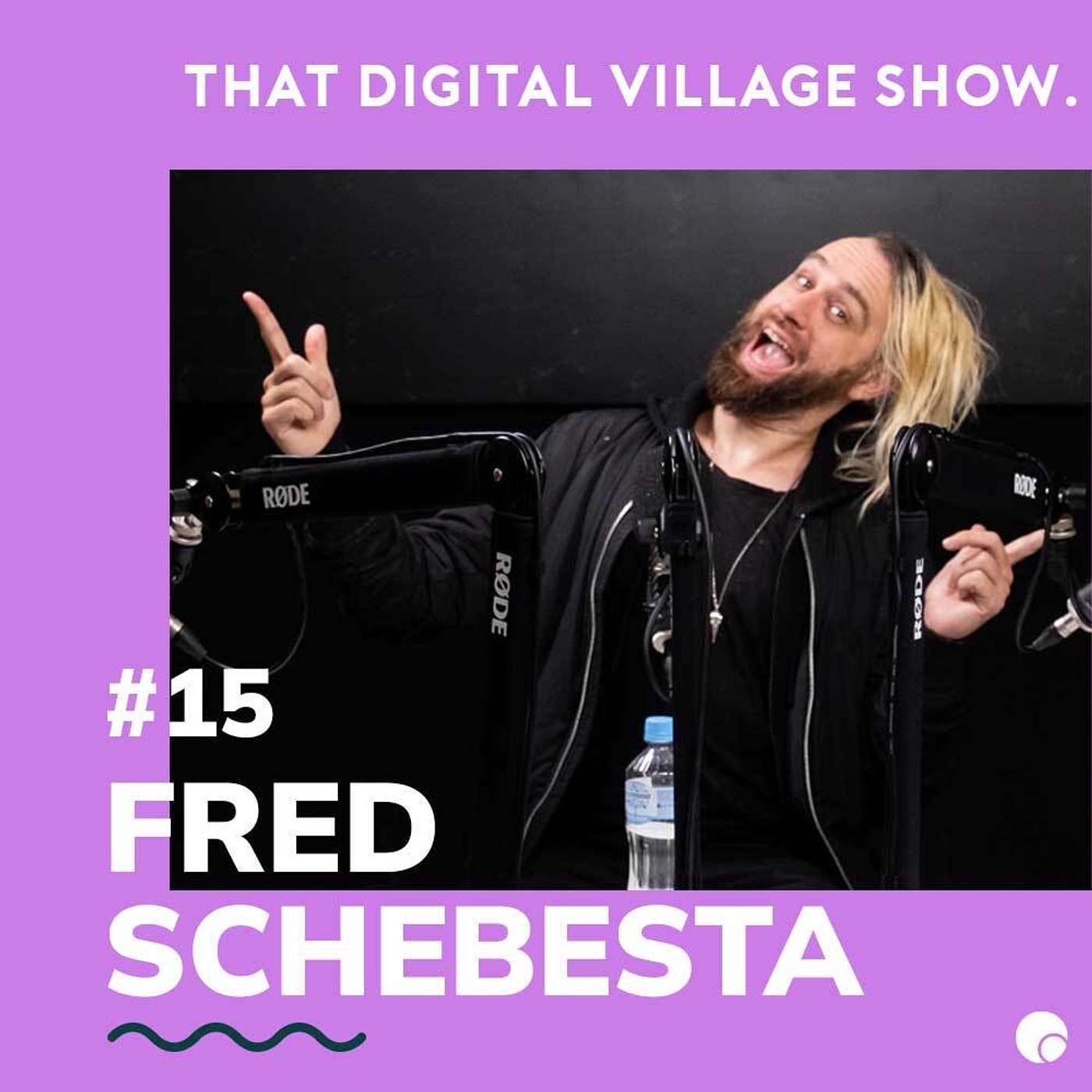 The Digital Village Show
