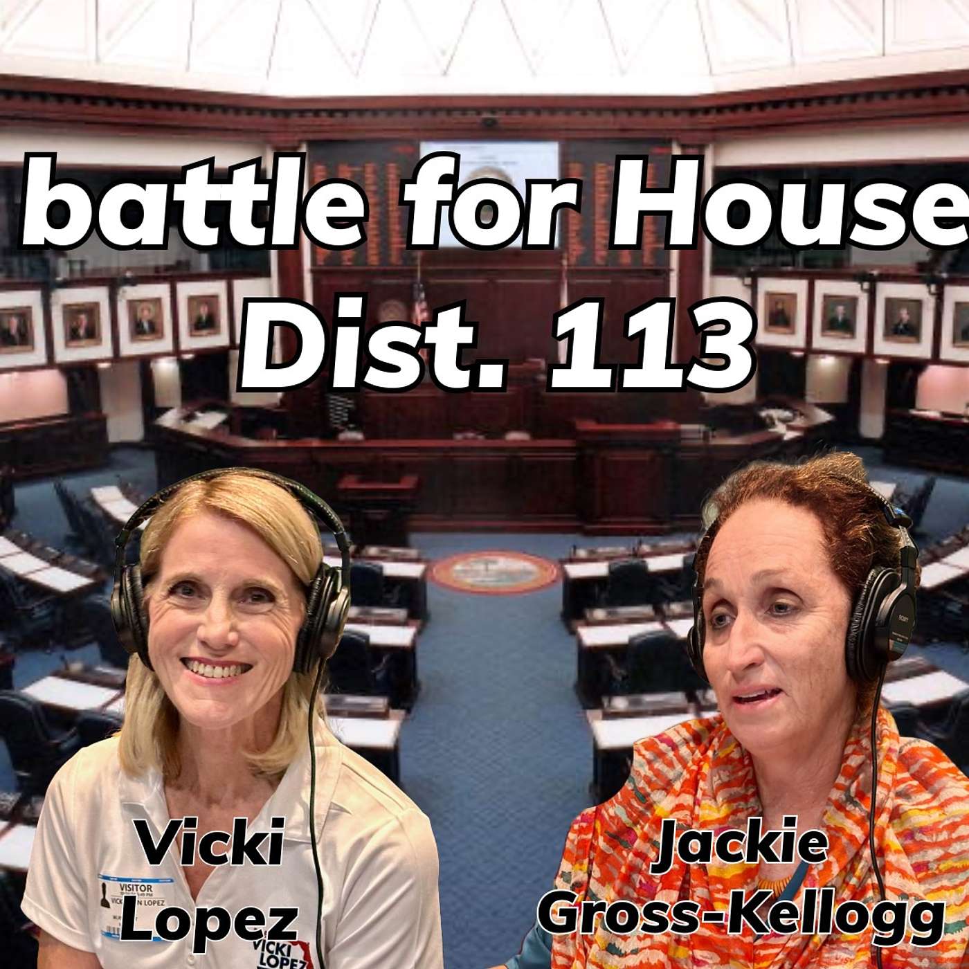Lopez v Gross-Kellogg and the battle for House Dist. 113 episode artwork