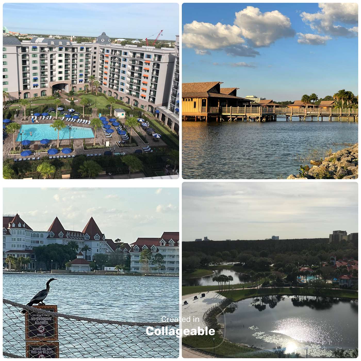 Episode 4: Home Sweet Home: The Disney Resort Rundown episode artwork