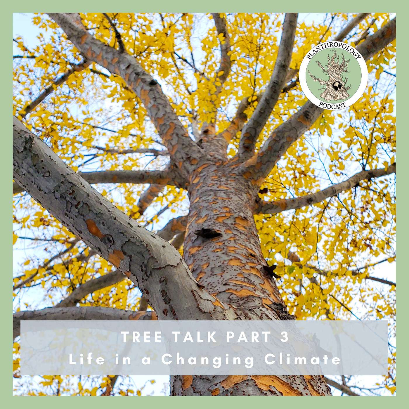 72. Tree Talk- Life in a Changing Climate