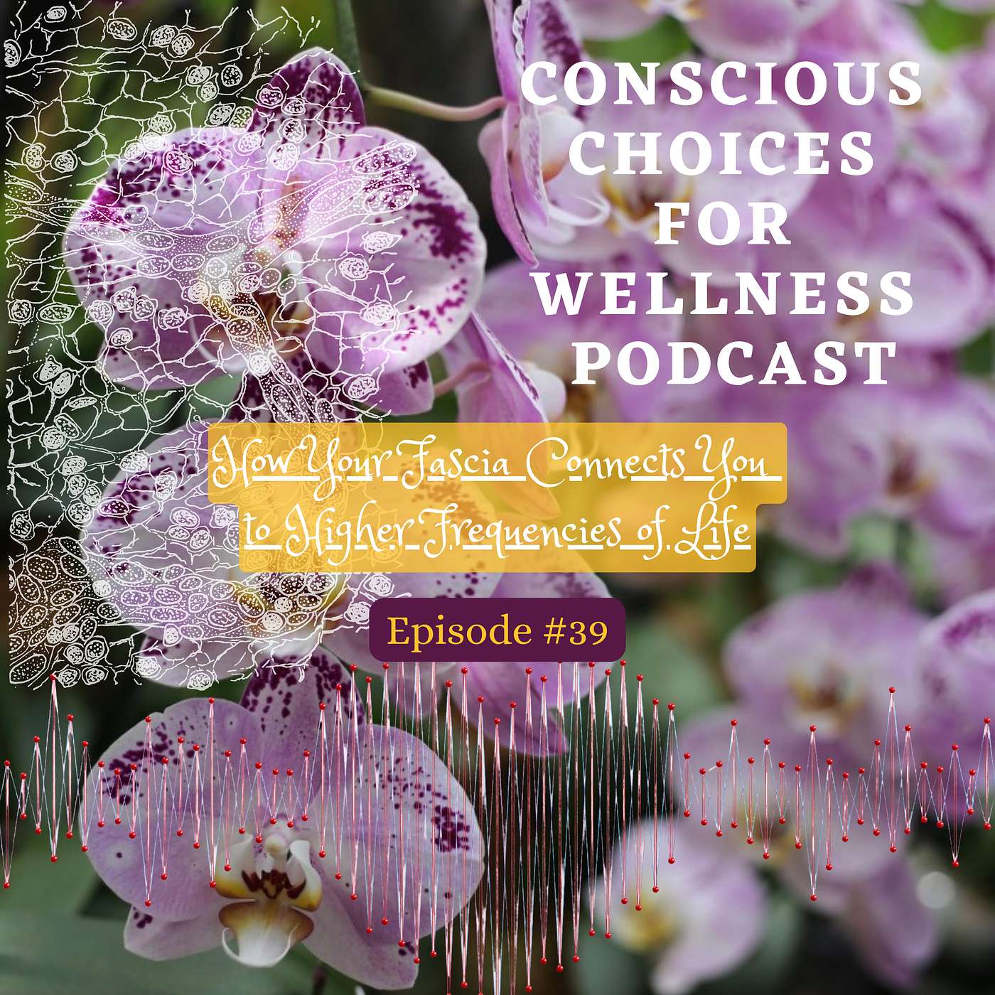 Importance of Fascia Health with Cosmic Connection Importance of Fascia Health with Cosmic Connection