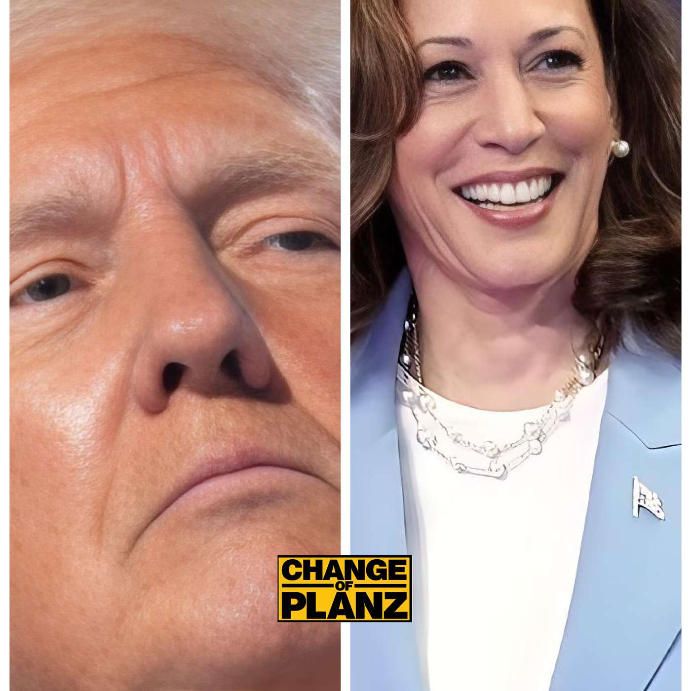 Donald Trump Causing Havoc With DEI, Kamala Harris Loss, Joe Biden, And Men/Women!