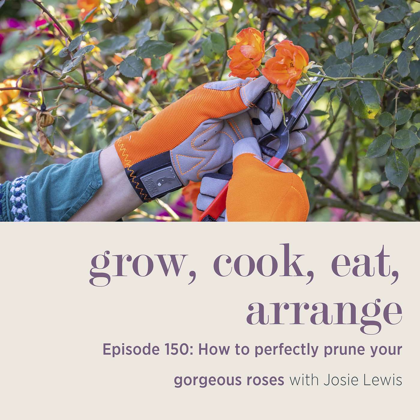 cover of episode How to Perfectly Prune Your Gorgeous Roses with Josie Lewis - Episode 150