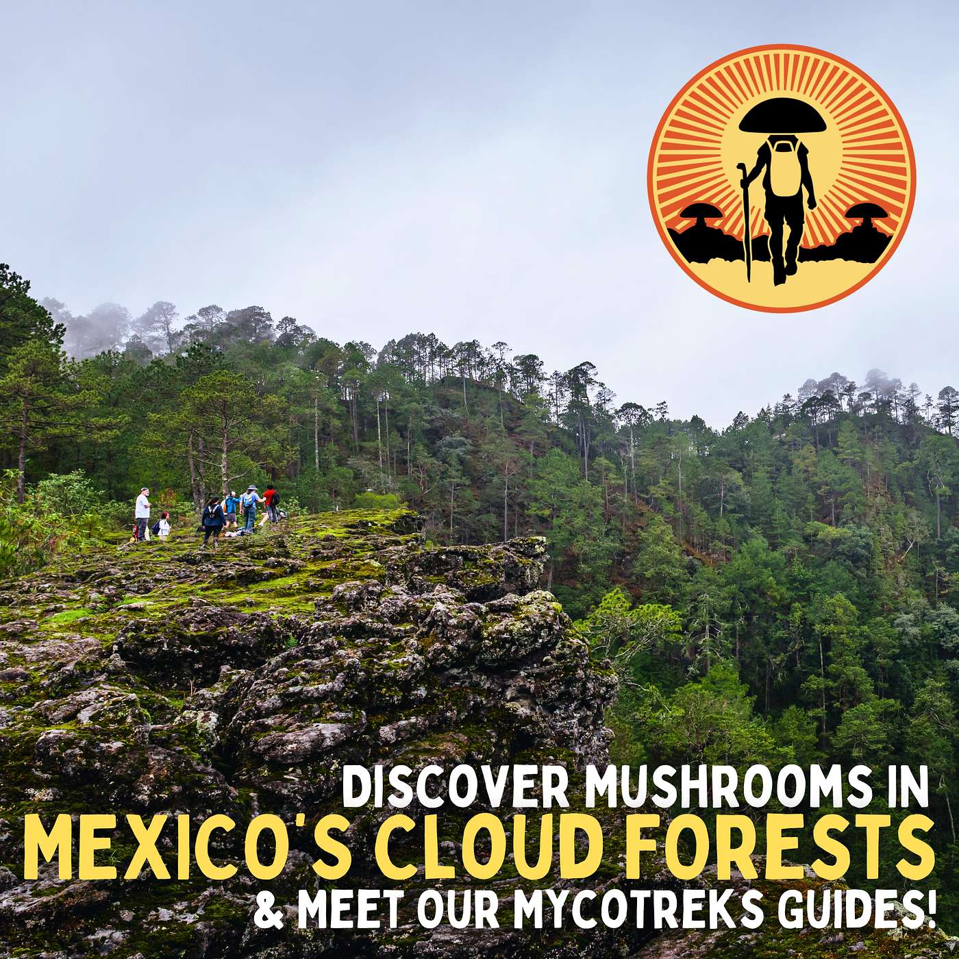 The MycoGeeky Podcast