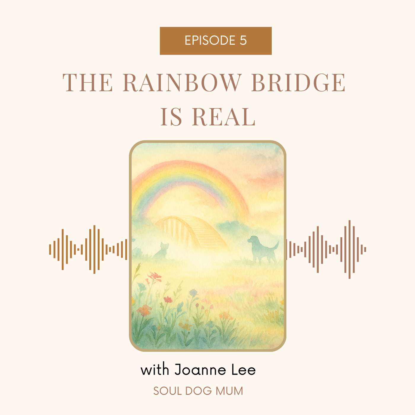 The Rainbow Bridge Is Real | Episode 5 episode artwork