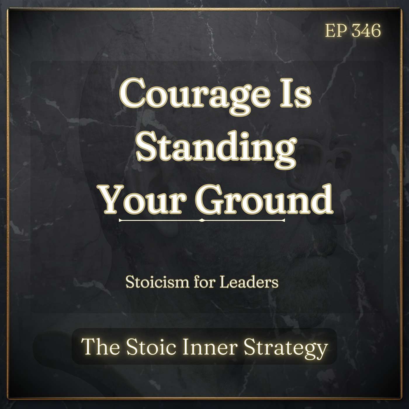 Ep 346 – Courage Is Standing Your Ground episode artwork
