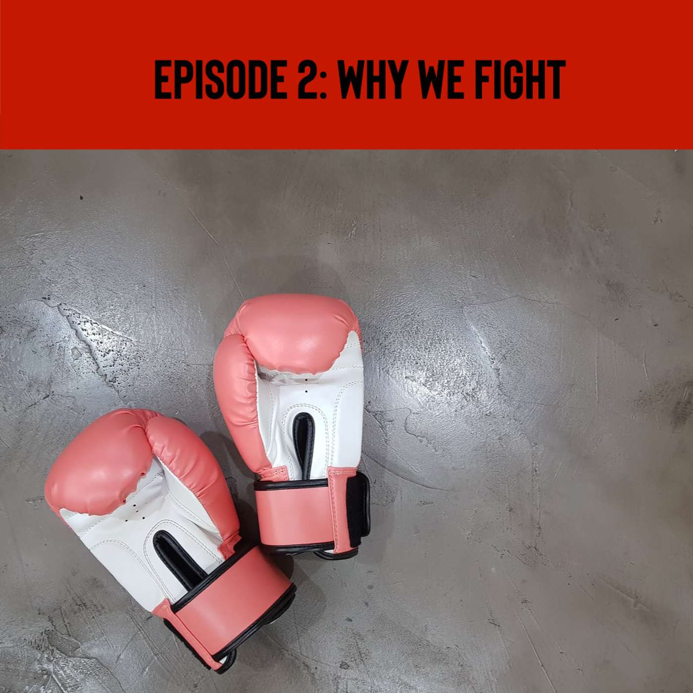 Why we fight
