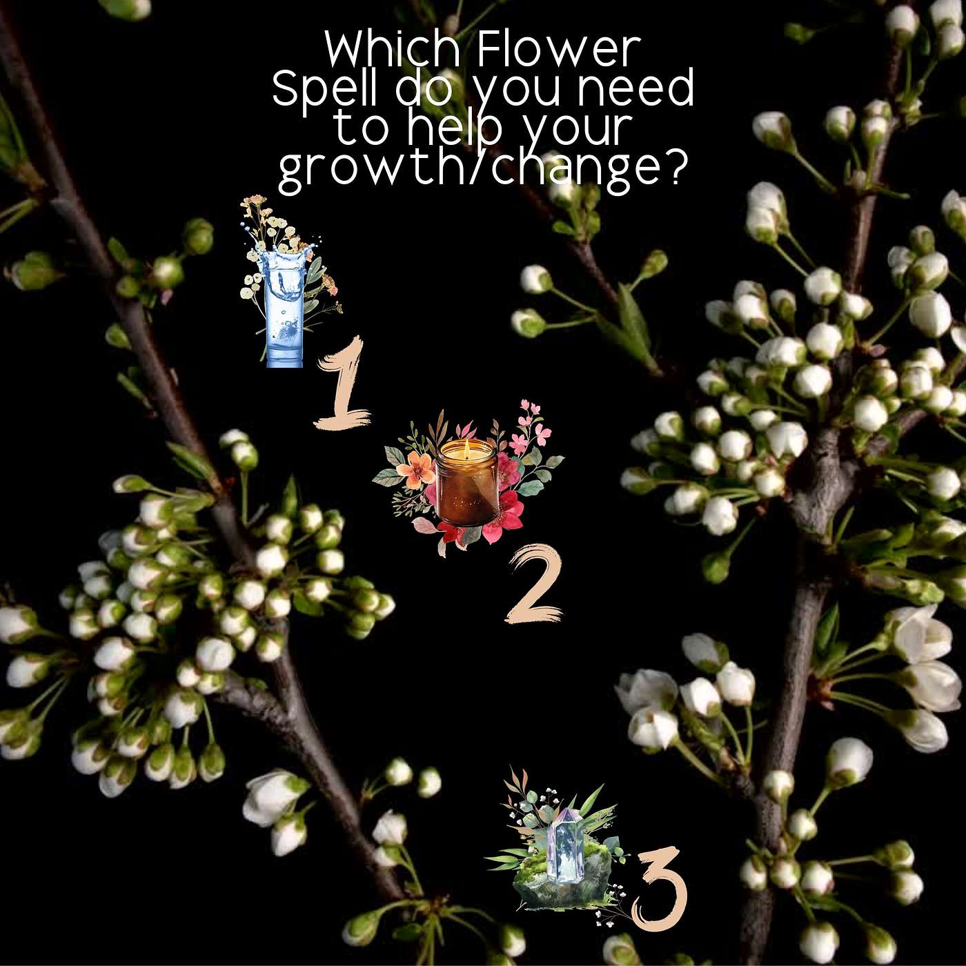 Which Flower Spell Do You Need for Upcoming Growth/Change Candle#2 episode artwork