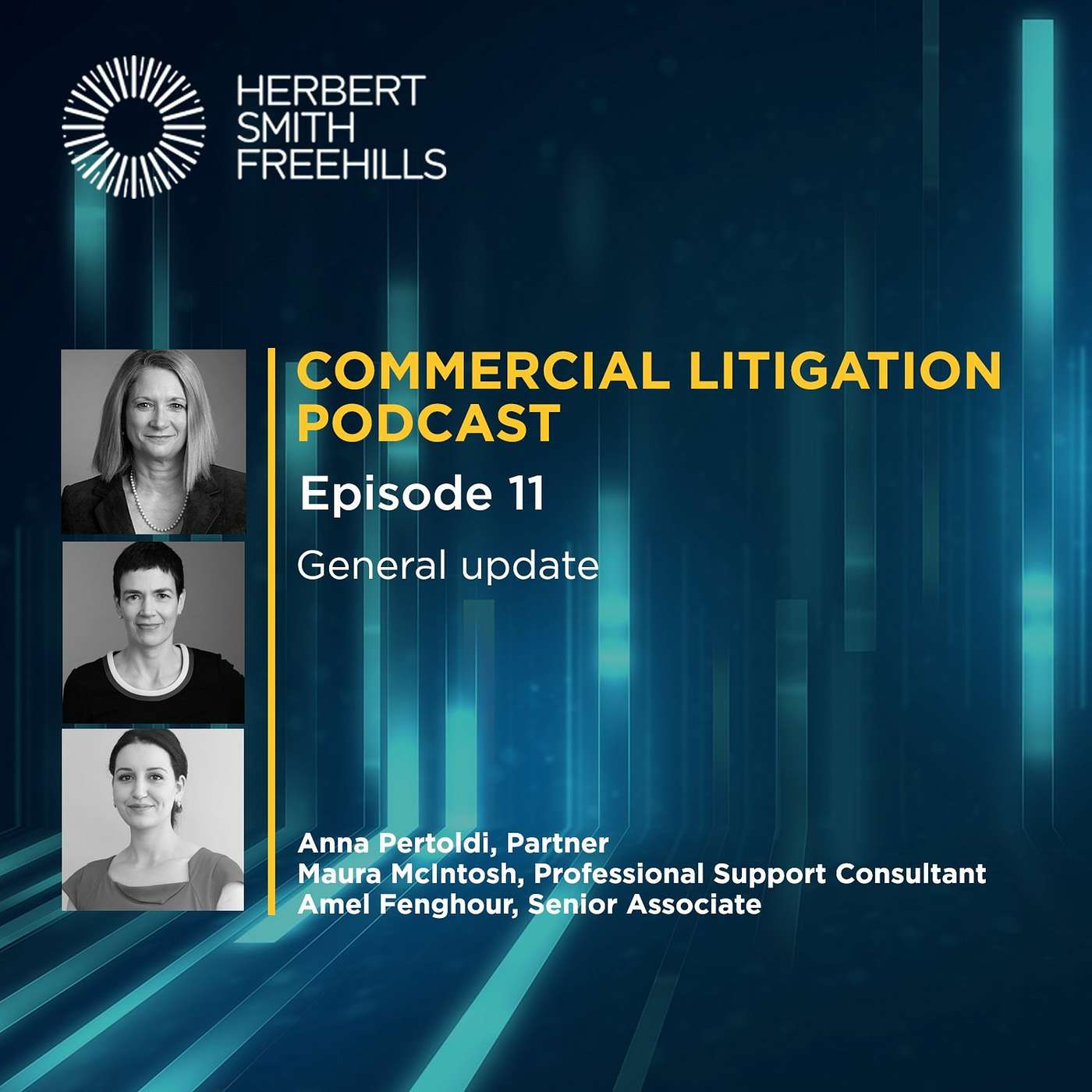 Commercial litigation EP11: General update episode artwork