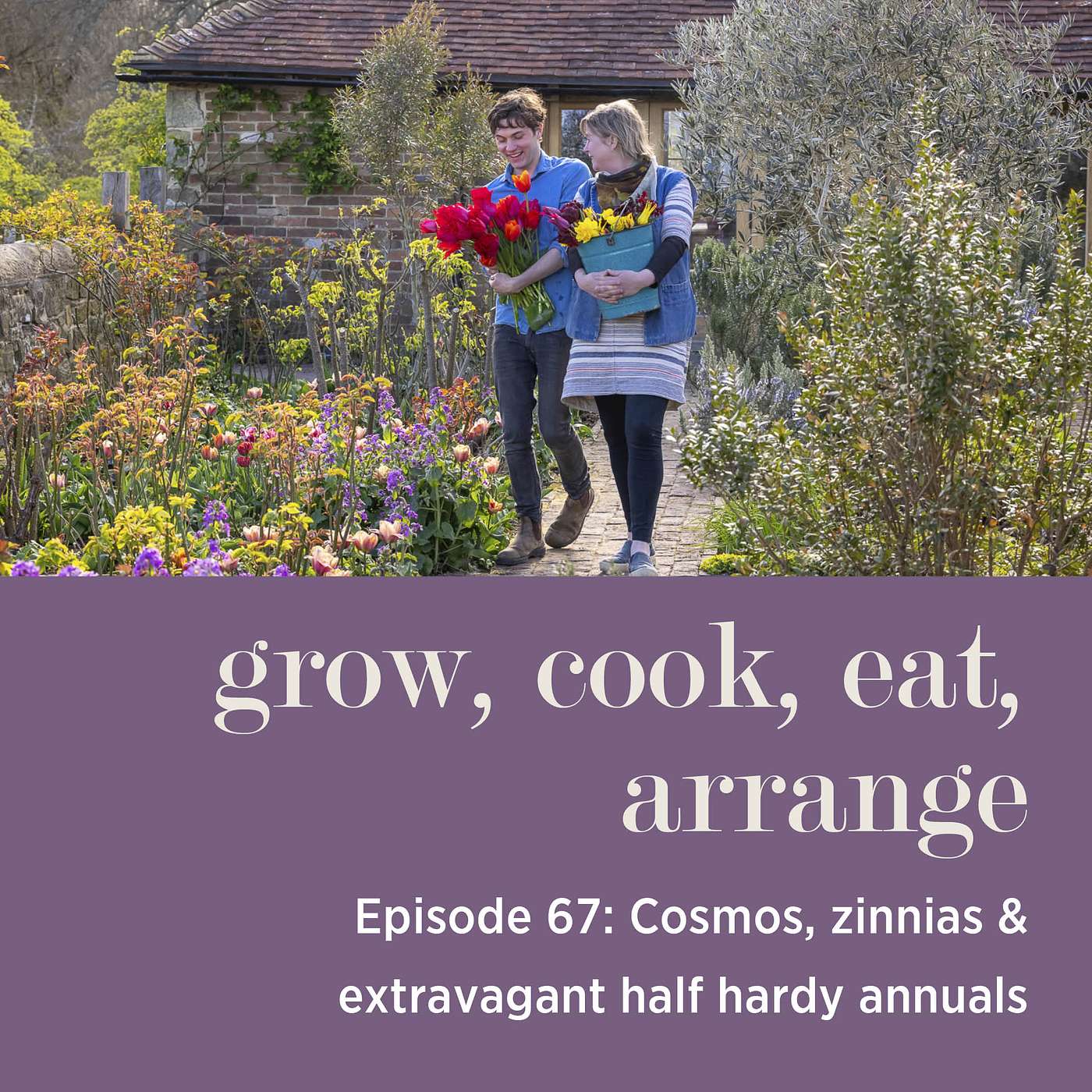 cover of episode Cosmos, Zinnias & Extravagant Half Hardy Annuals - Episode 67