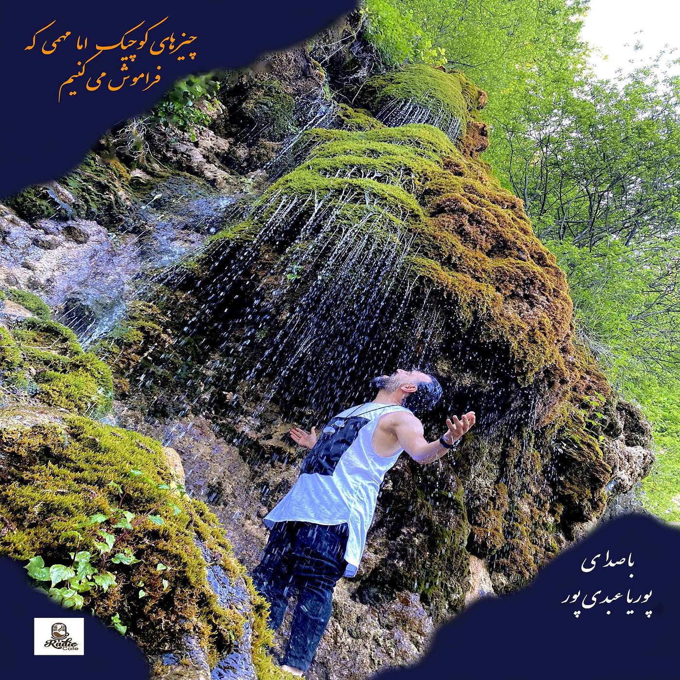 ... چیزهای کوچیک و مهمی که، فراموششون میکنیم episode artwork