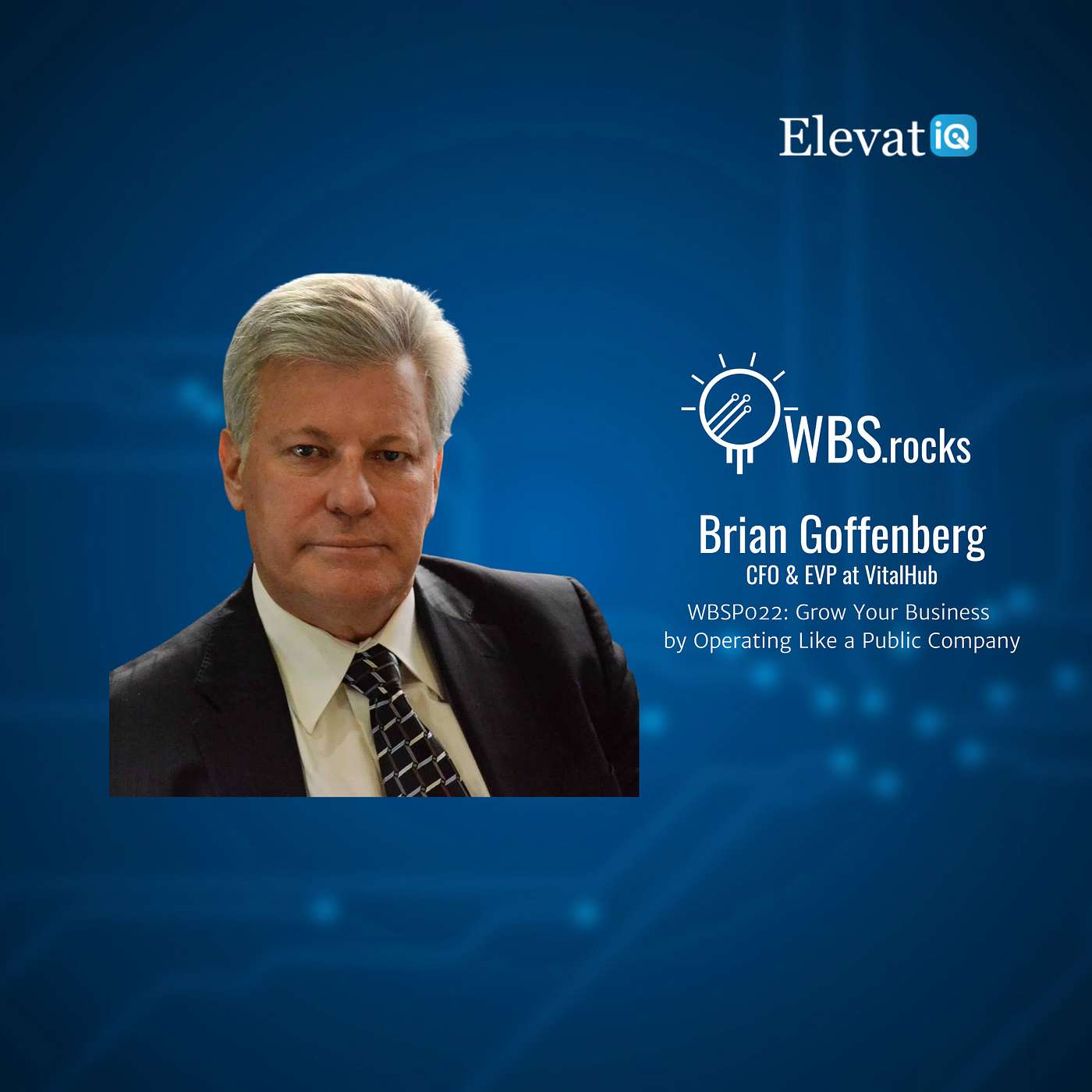 WBSP022: Grow Your Business by Operating Like a Public Company w/ Brian Goffenberg